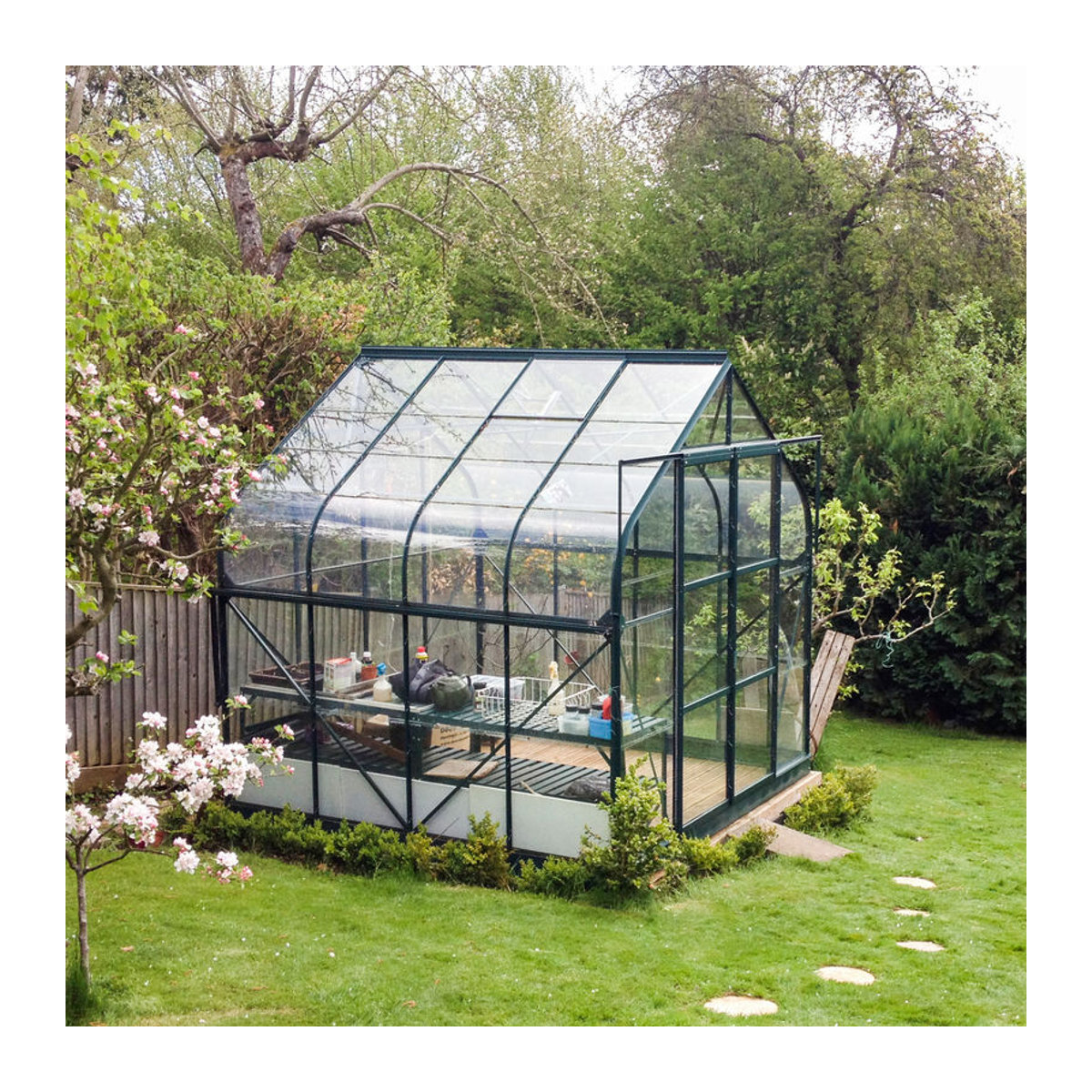 Vitavia Gewächshaus Dione 6700 mit Stahlfundamentrahmen in Smaragdgrün, 6,7 m², ESG-Glas und Aluminiumrahmen - Bild 2