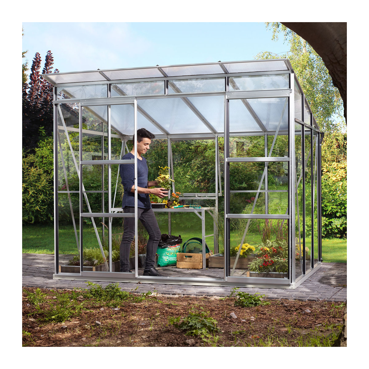Vitavia Gewächshaus Freya 5900 in alufarben mit Aluminiumrahmen, 5,9 m², 3 mm ESG-Glas und 6 mm HKP-Platten - Bild 2