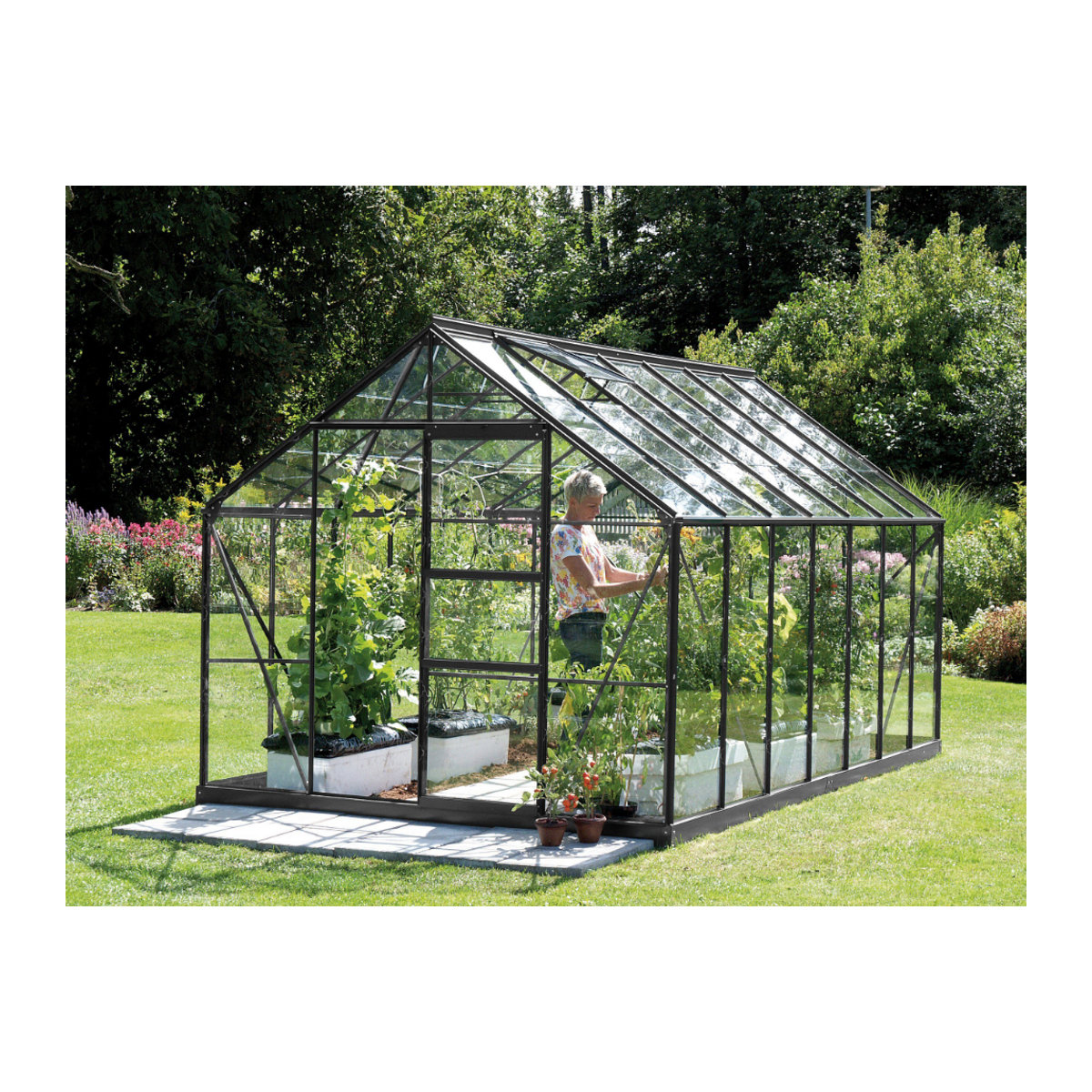 Vitavia Gewächshaus Merkur 11500 in Schwarz mit Aluminiumrahmen und 3 mm ESG Glas, 11,5 m² - Bild 3