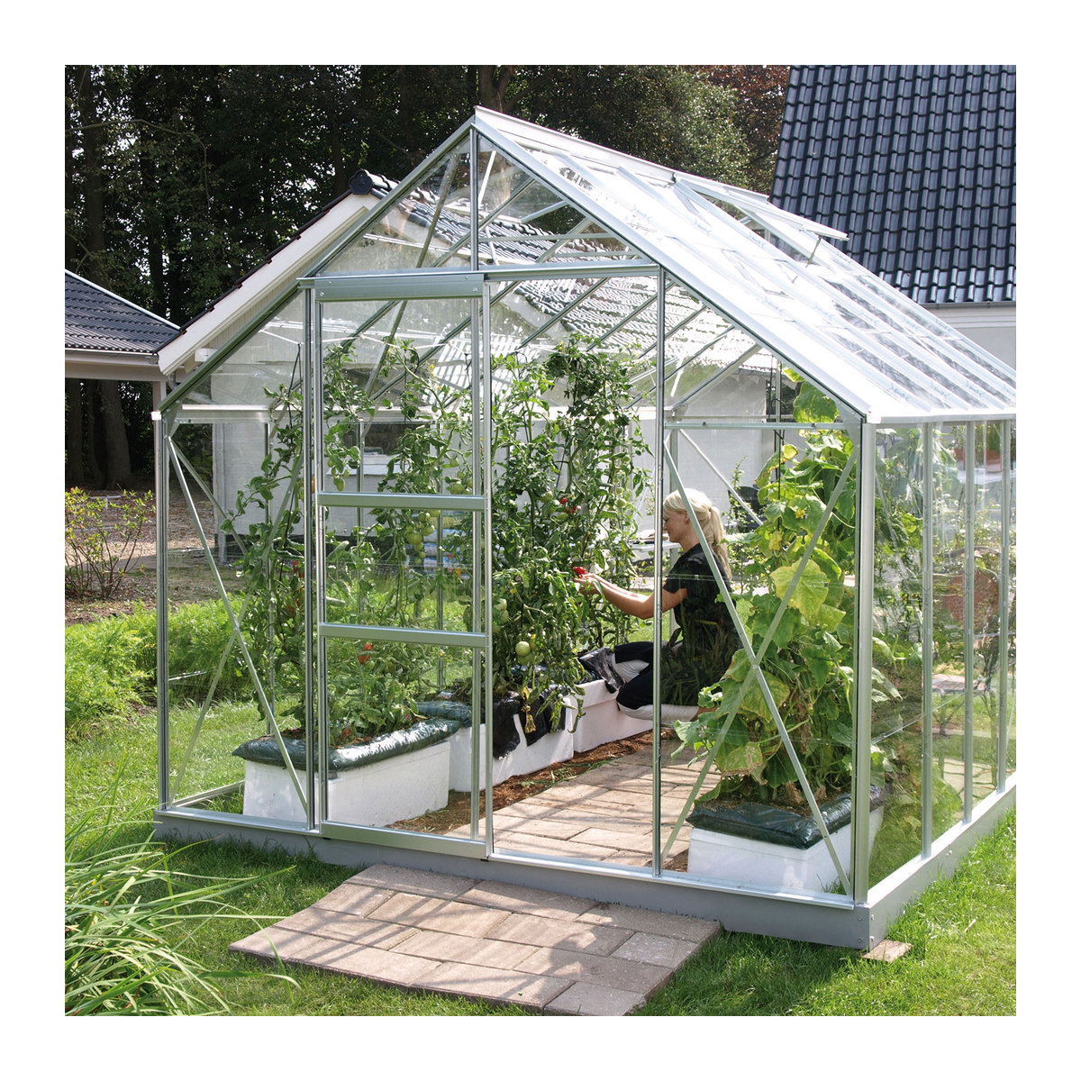 Vitavia Gewächshaus Merkur 8300 aus Aluminium in Alufarben mit 8,3 m² und 3 mm ESG-Glas - Bild 2