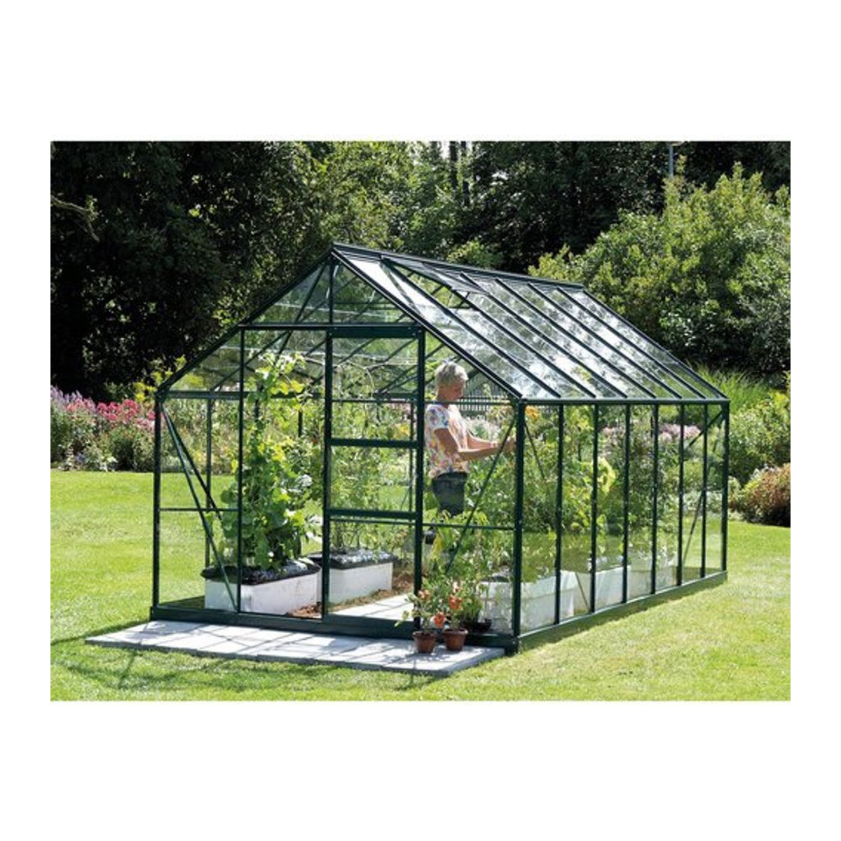 VITAVIA Gewächshaus Merkur in Grün aus Aluminium und ESG Glas mit 11,5 m² Fläche - Bild 1