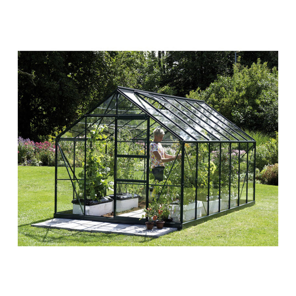 VITAVIA Gewächshaus Merkur in Grün aus Aluminium und ESG Glas mit 11,5 m² Fläche - Bild 2