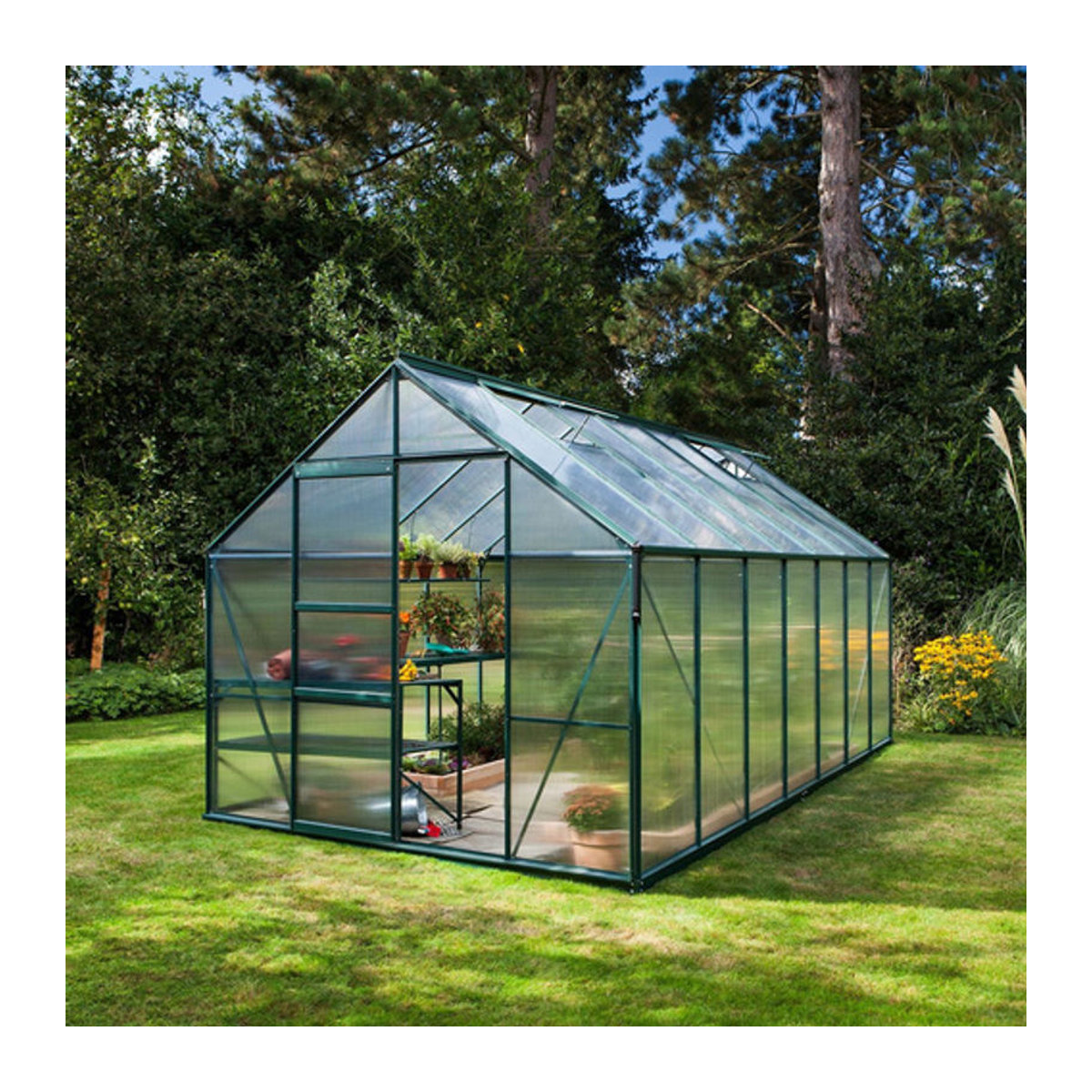 Vitavia Gewächshaus Merkur in Grün mit Aluminiumrahmen und Polycarbonat-Verglasung, 11,5 m² - Bild 7