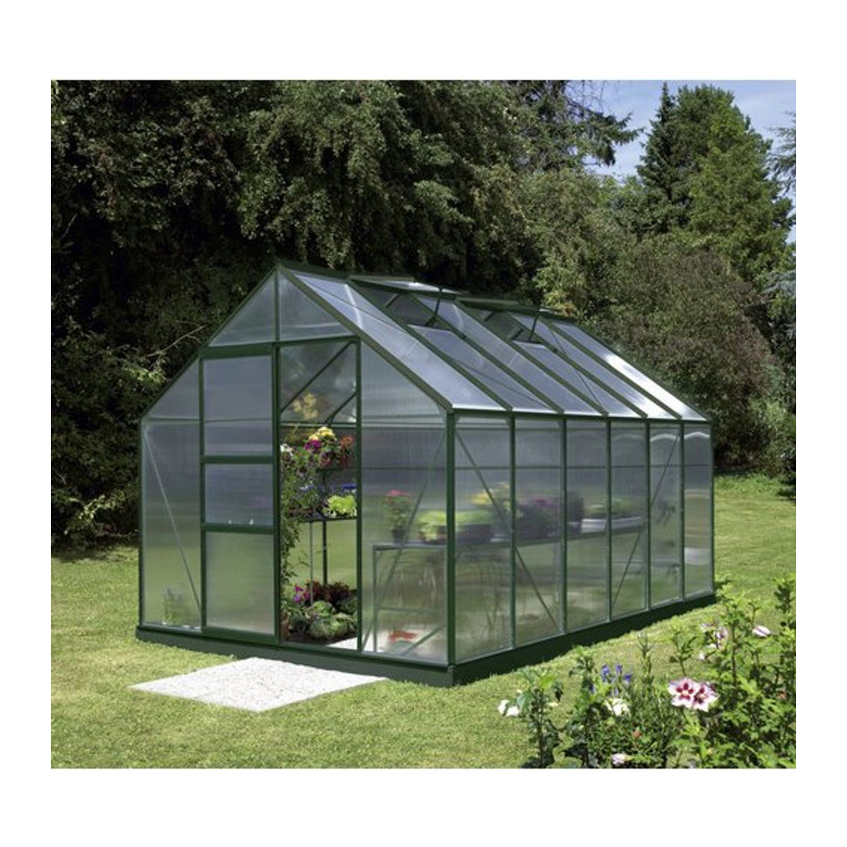 Vitavia Gewächshaus Merkur in Grün mit Aluminiumrahmen und Polycarbonat-Verglasung, 9,9 m² - Bild 4