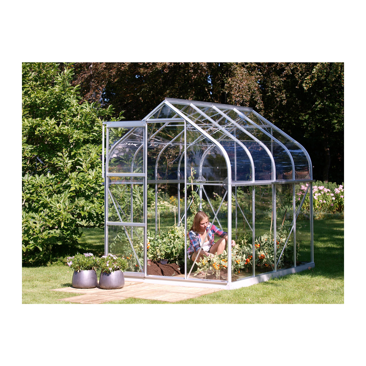 Vitavia Gewächshaus Orion 5000 aus eloxiertem Aluminium in Alufarben mit 5,0 m² und 3 mm ESG-Glas - Bild 3