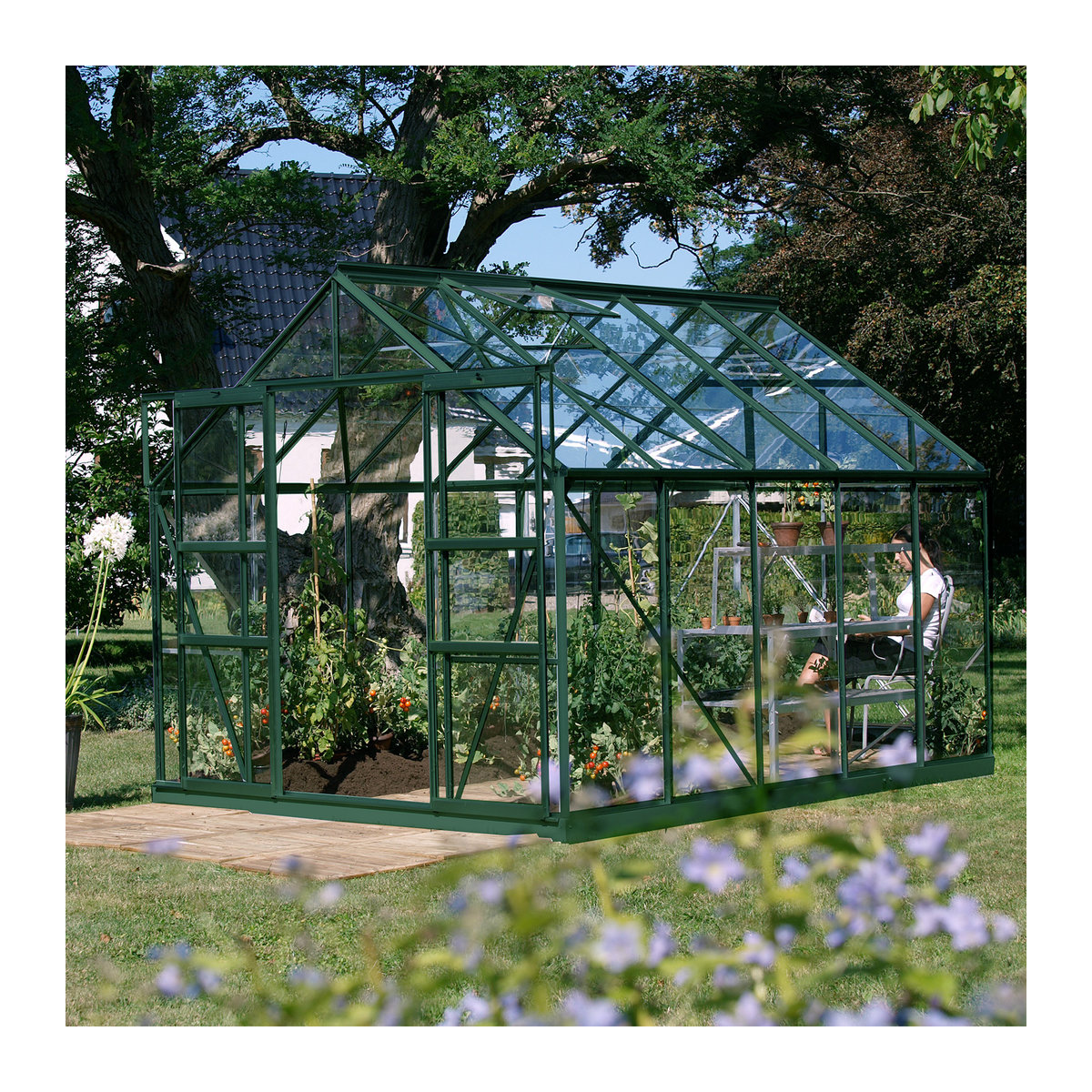 Vitavia Gewächshaus Uranus 8300 in Smaragdgrün mit Glas und Aluminium, 8,3 m² - Bild 2