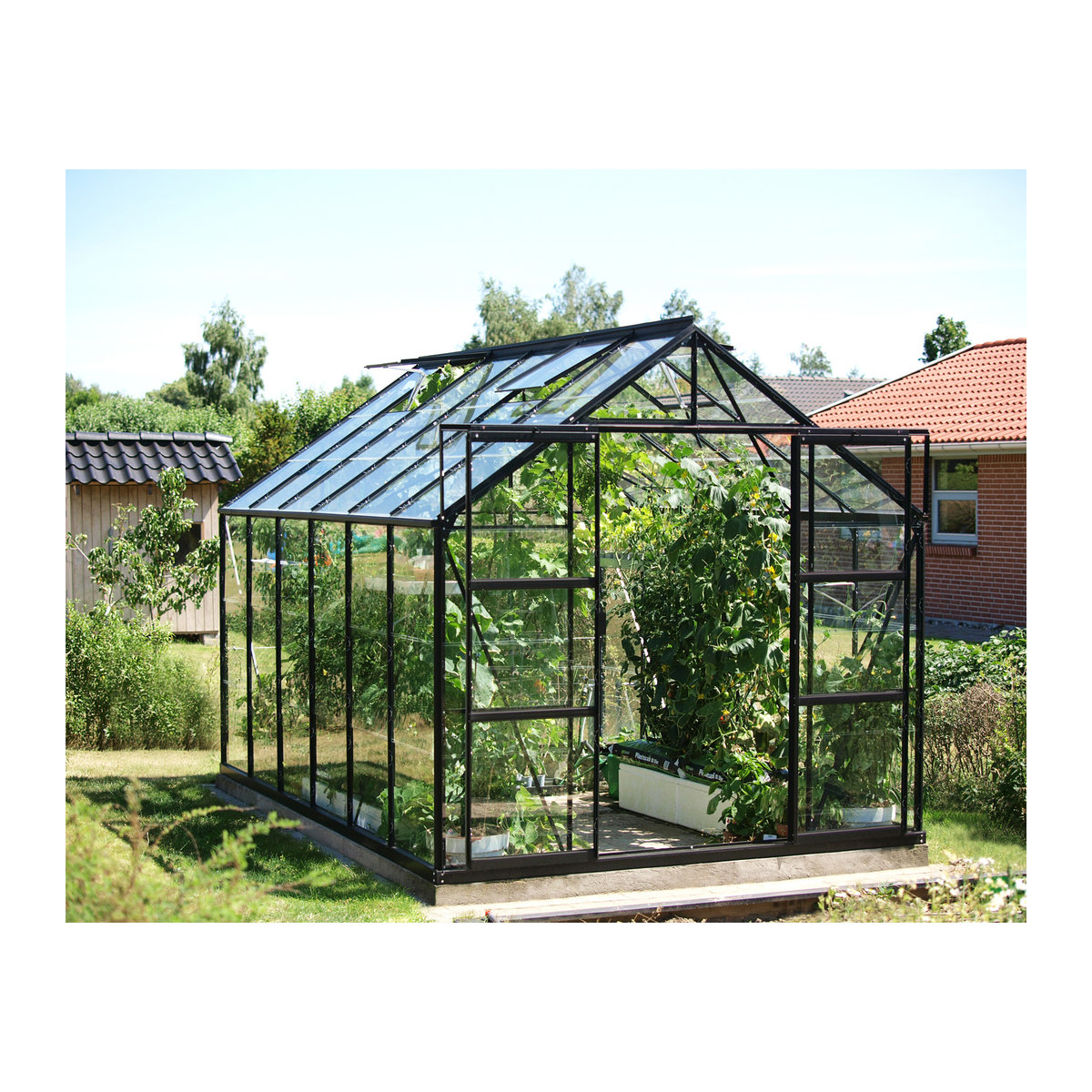 Vitavia Gewächshaus Uranus 9900 in Schwarz mit 9,9 m² und 3 mm ESG-Glas und Aluminiumrahmen - Bild 4