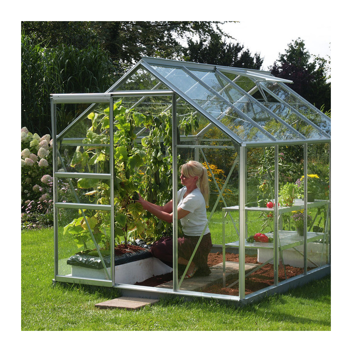 Vitavia Gewächshaus Venus 5000 aus Aluminium und Glas in Silber, 5 m² - Bild 3