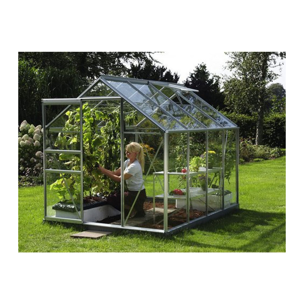 Vitavia Gewächshaus Venus 5000 aus Aluminium und Glas in Silber, 5 m² - Bild 4