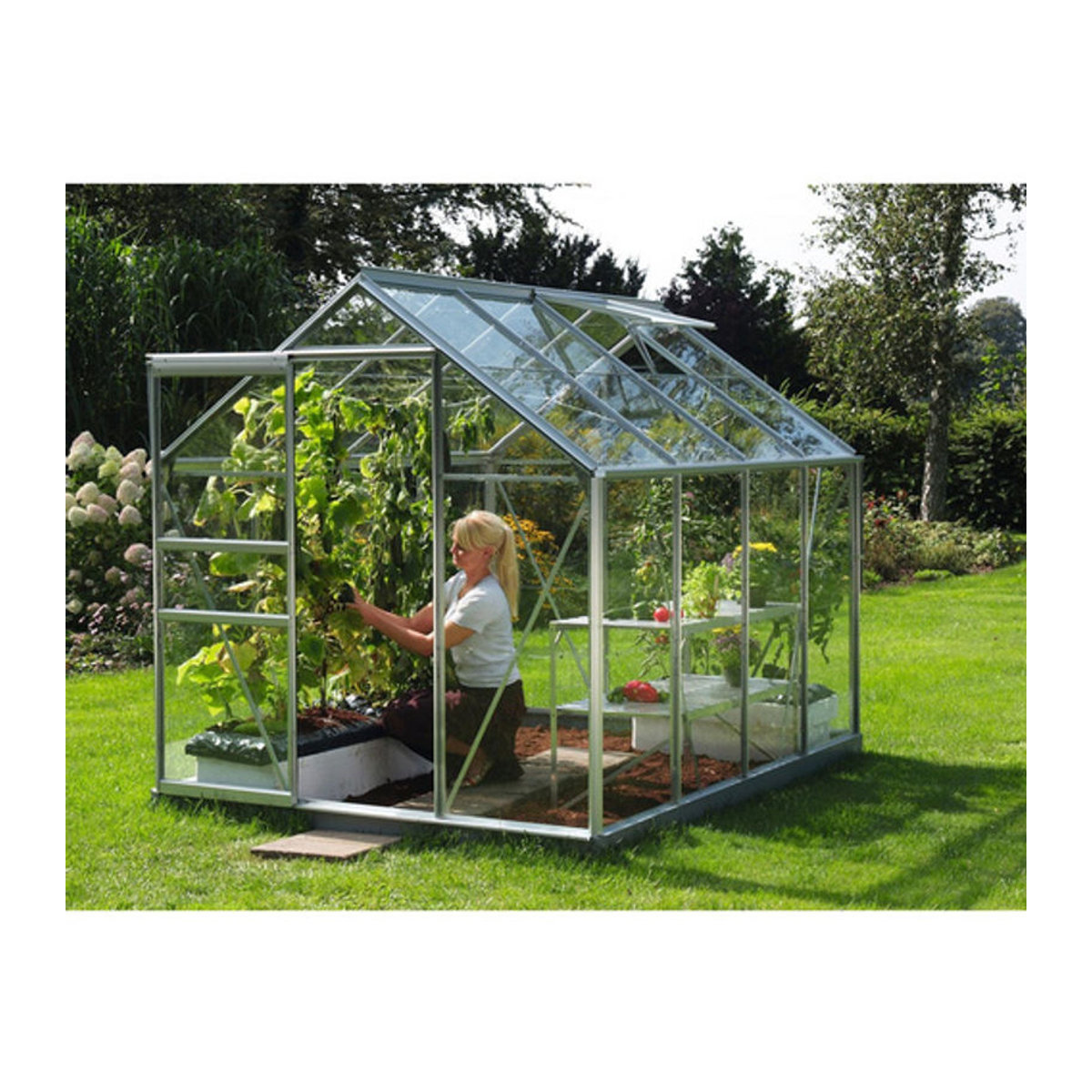 Vitavia Gewächshaus Venus 5000 aus Aluminium und Glas in Silber, 5 m² - Bild 6