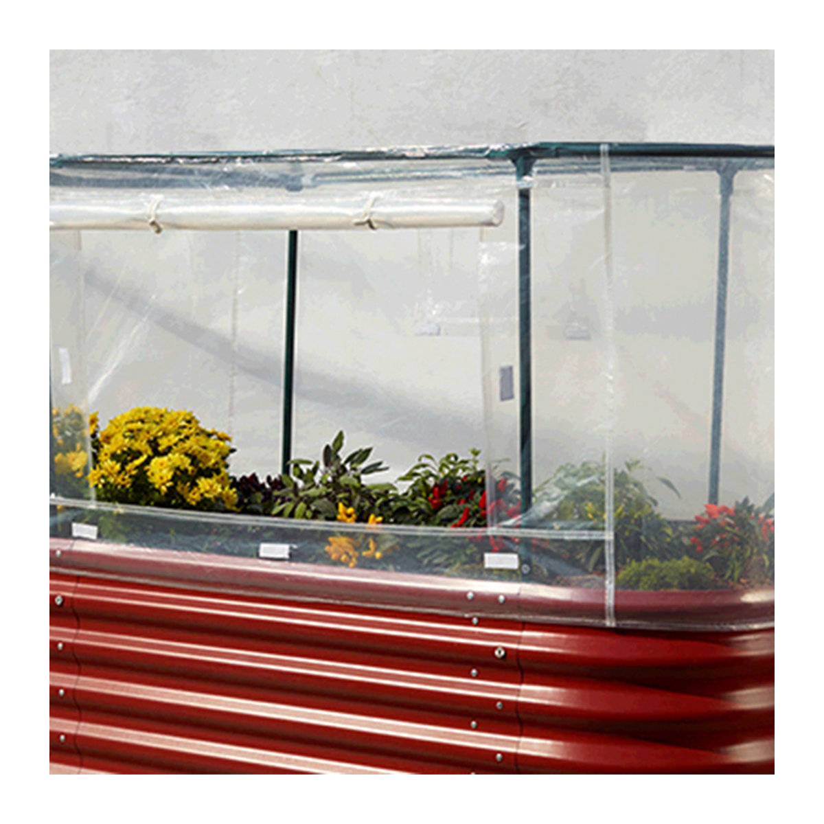Vitavia Hochbeetabdeckung S für Vita Basic, transparent, B: 76 cm, L: 164 cm, H: 95 cm - Bild 4