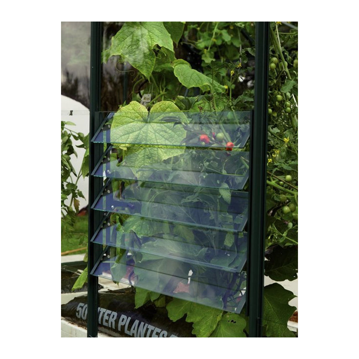 Vitavia Lamellen-Wandfenster für Gewächshäuser, Grün, B/H: 61 x 45 cm - Bild 1