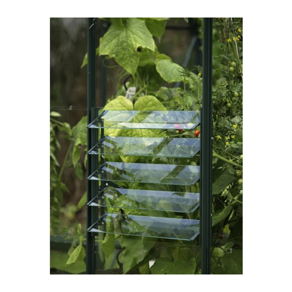 Vitavia Lamellen-Wandfenster für Gewächshäuser, Grün, B/H: 61 x 45 cm - Bild 3