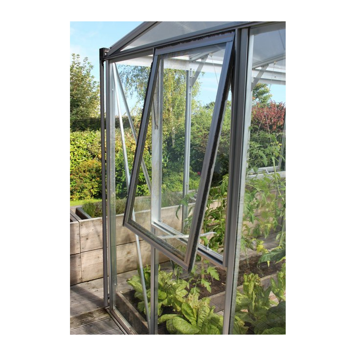 Vitavia Seitenfenster Z für Gewächshäuser aus Aluminium eloxiert in Silber, B/H: 70,8 x 86,2 cm mit 3 mm ESG Polycarbonat - Bild 1