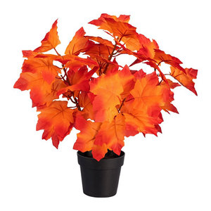 Viva Domo Deko-Ahornbäumchen in Orange für die Herbstdekoration