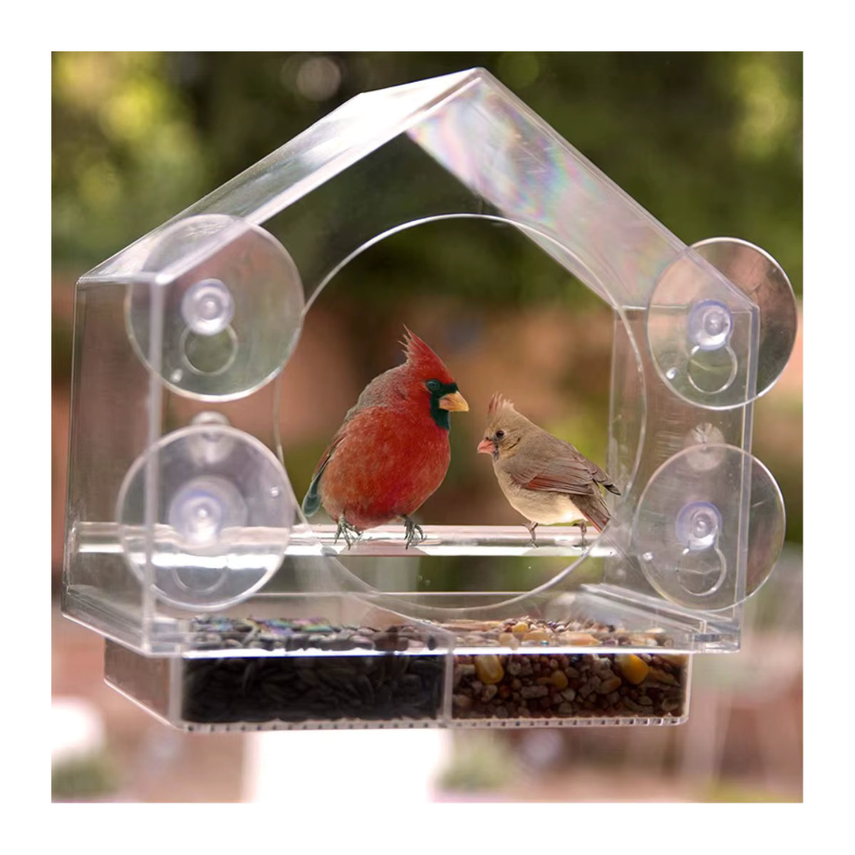 Vogelhäuschen aus Acryl für das Fenster mit Saugnapf, klares Futterhaus für Vögel zur Befüllung mit Samen oder Erdnüssen - Bild 4