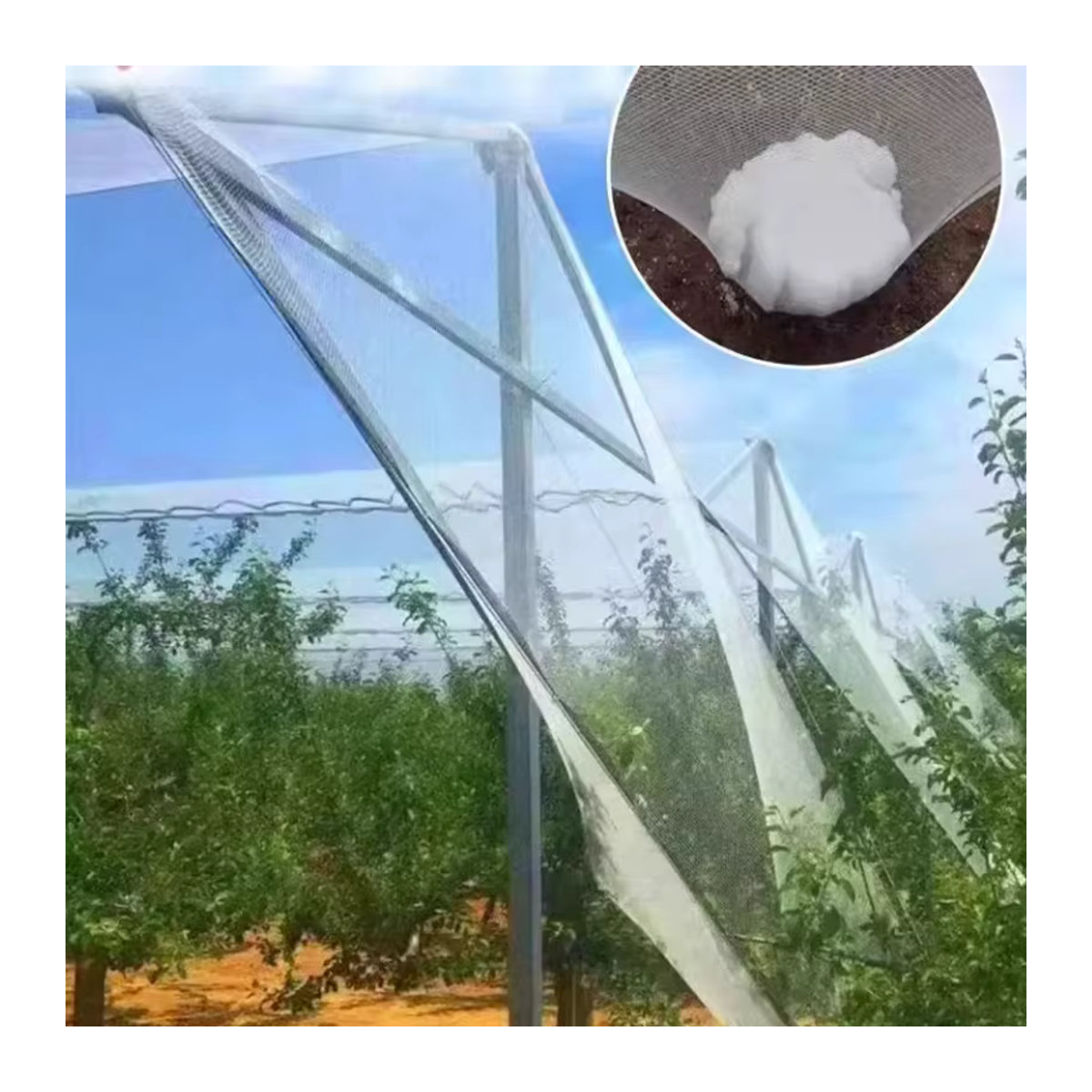 Vogelsicheres Hühnerzuchtnetz als Schutznetz für Geflügel, Obstgarten oder Balkon - Bild 2
