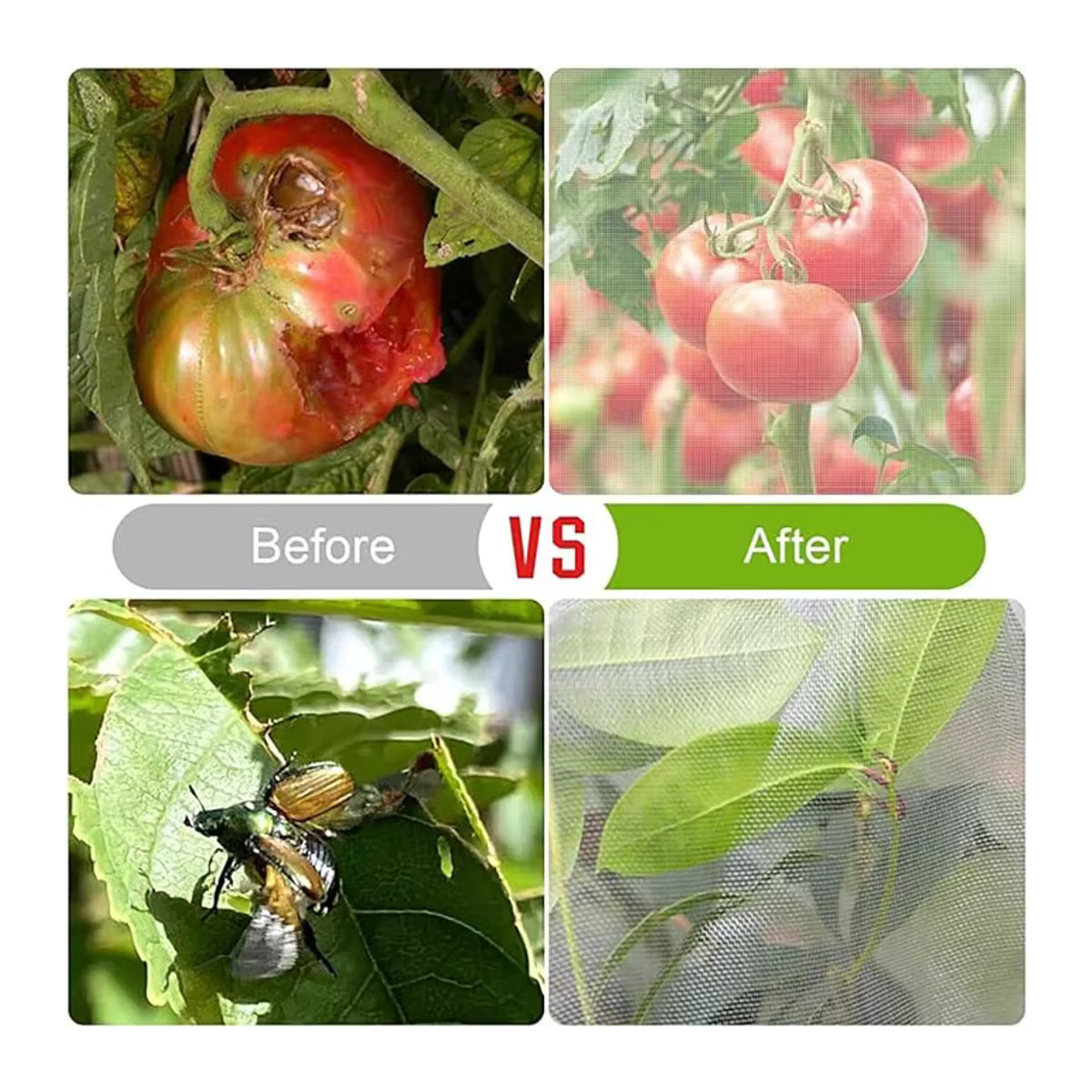 Vogelsicheres Obstnetz zum Schutz von Obstbäumen wie Apfelbäumen und Blaubeerstruchen vor Vögeln, Schädlingen und Hirschen - Bild 3
