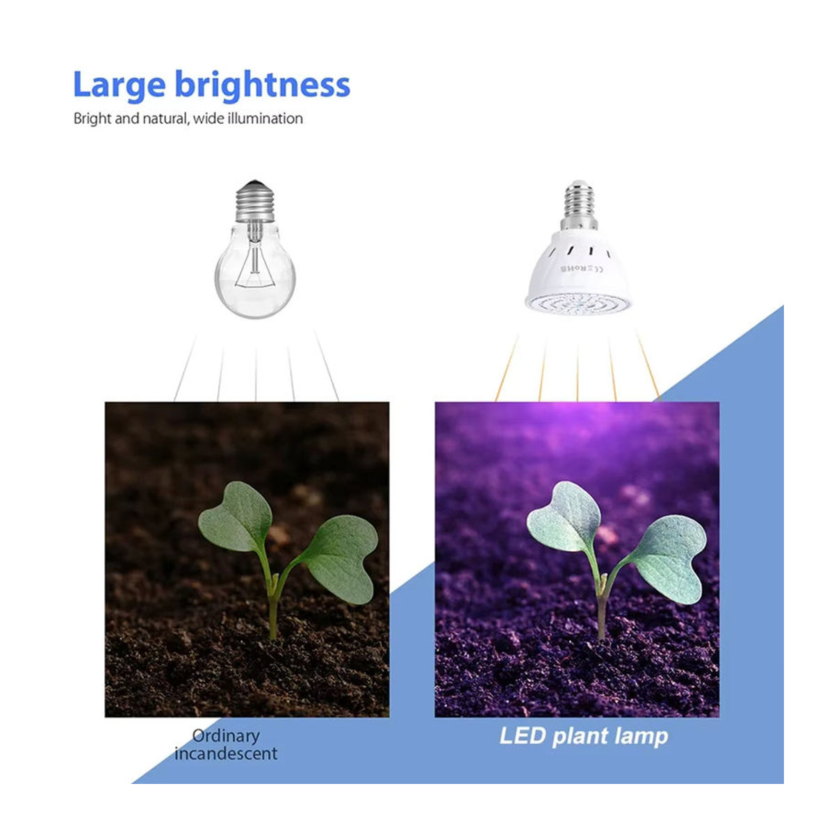 Vollspektrum LED Pflanzenlampe für die Kultivierung von Sukkulenten und Kakteen, 9W, E27/E26/E14/GU10/MR16 Kompatibilität - Bild 4