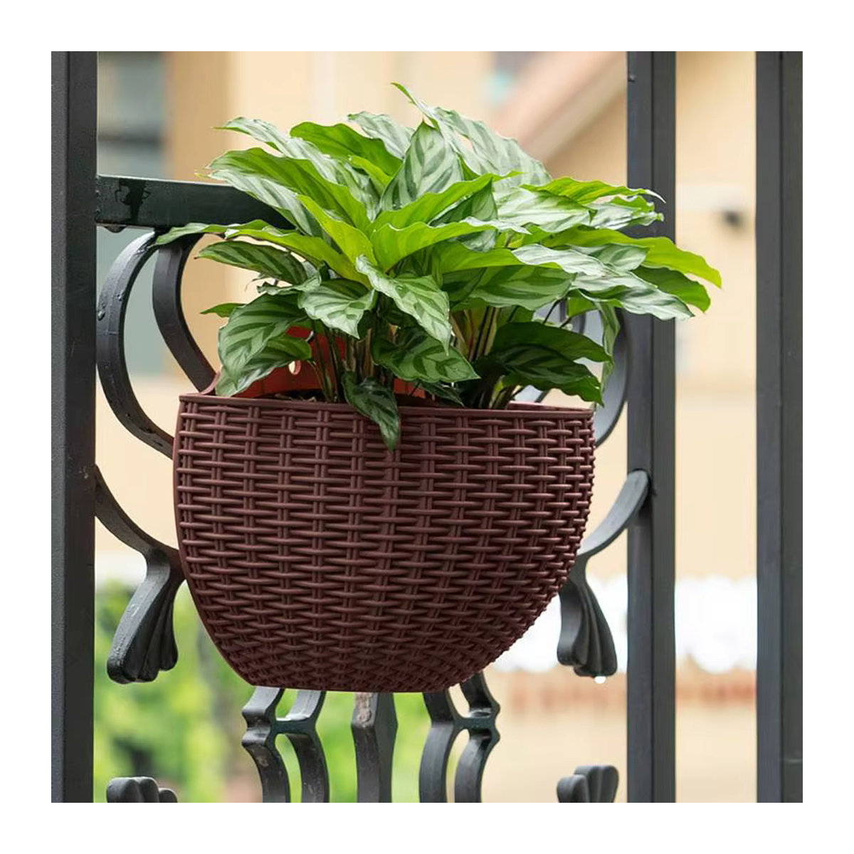 Wandmontierter Blumentopf aus Kunststoff in Schwarz oder Weiß als halbrunder Blumenkorb für deine Heimdekoration - Bild 3