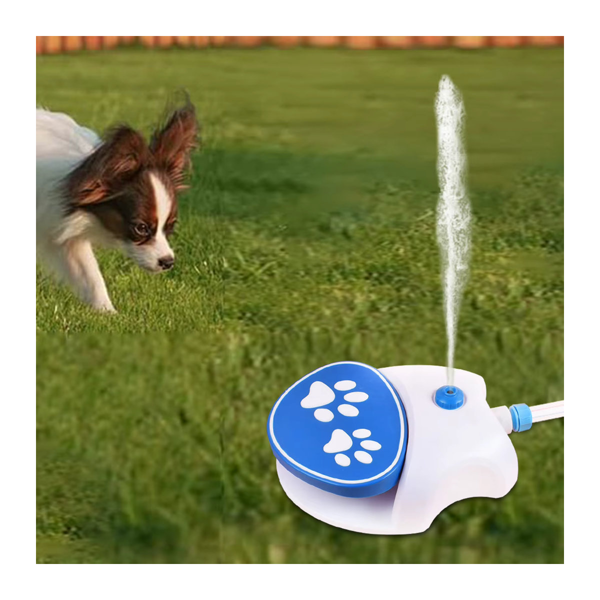Wasserbrunnen für Hunde für den Außenbereich in Blau mit zwei Wasserspendermodi und Pfoten-Aktivierung - Bild 3