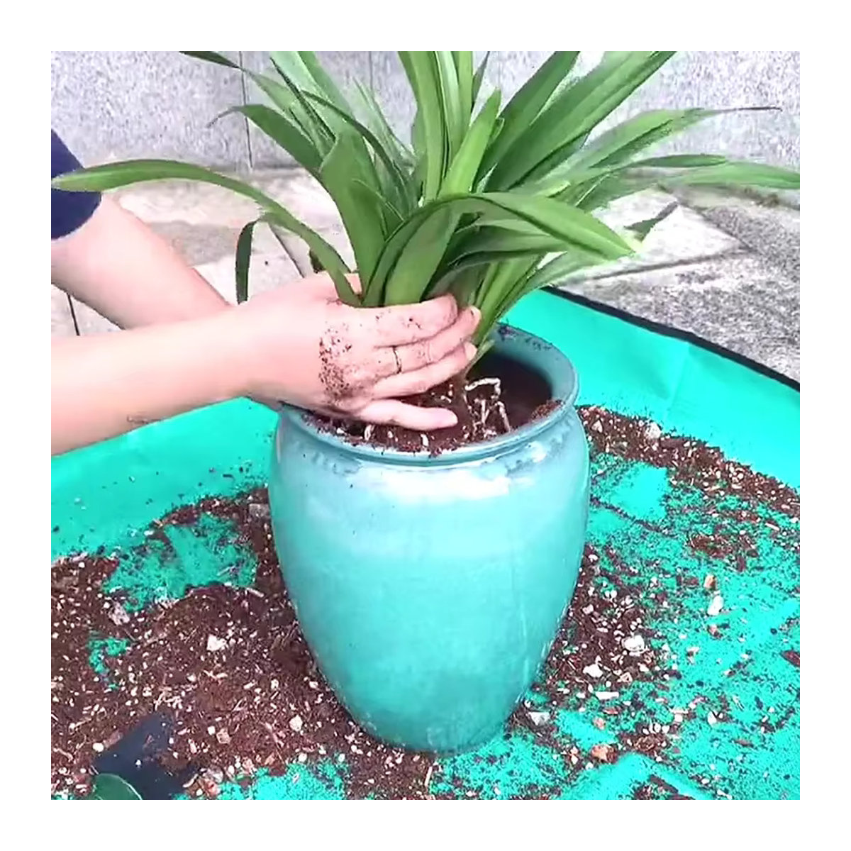 Wasserdichte Pflanzmatte zum Umpflanzen für die Gartenarbeit, faltbare Blumentopf-Matte, Durchmesser: 50 cm bis 100 cm - Bild 4