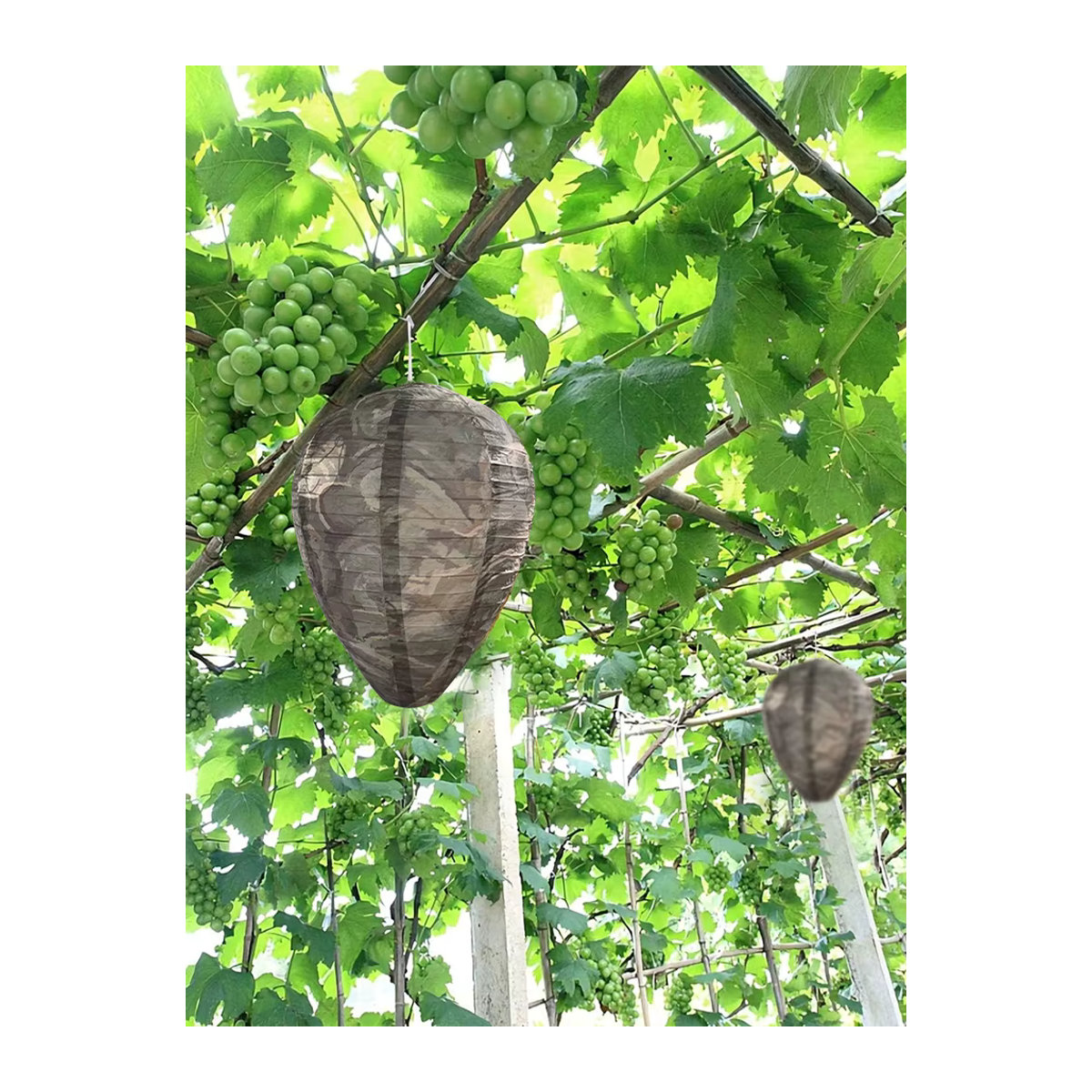 Wasserdichte und ungiftige Wespen-Abwehrfalle als künstliches Wespen-Nest zur Hornissenabwehr für Garten und Terrasse - Bild 6