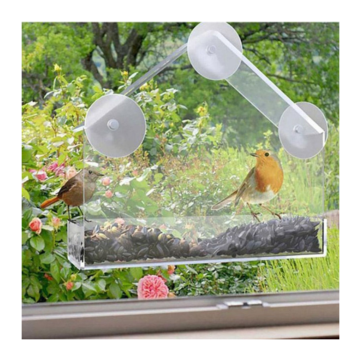 Wasserdichter Vogelfutterspender für das Fenster mit transparentem Eichhörnchen-Futterbehälter und Saugnapf-Befestigung - Bild 1
