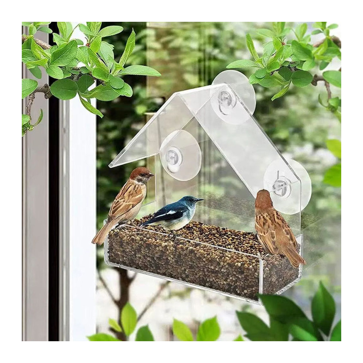 Wasserdichter Vogelfutterspender für das Fenster mit transparentem Eichhörnchen-Futterbehälter und Saugnapf-Befestigung - Bild 2
