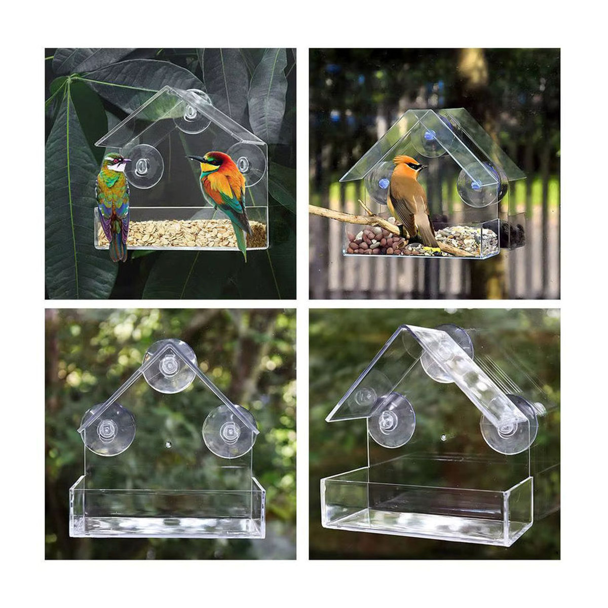 Wasserdichter Vogelfutterspender für das Fenster mit transparentem Eichhörnchen-Futterbehälter und Saugnapf-Befestigung - Bild 5