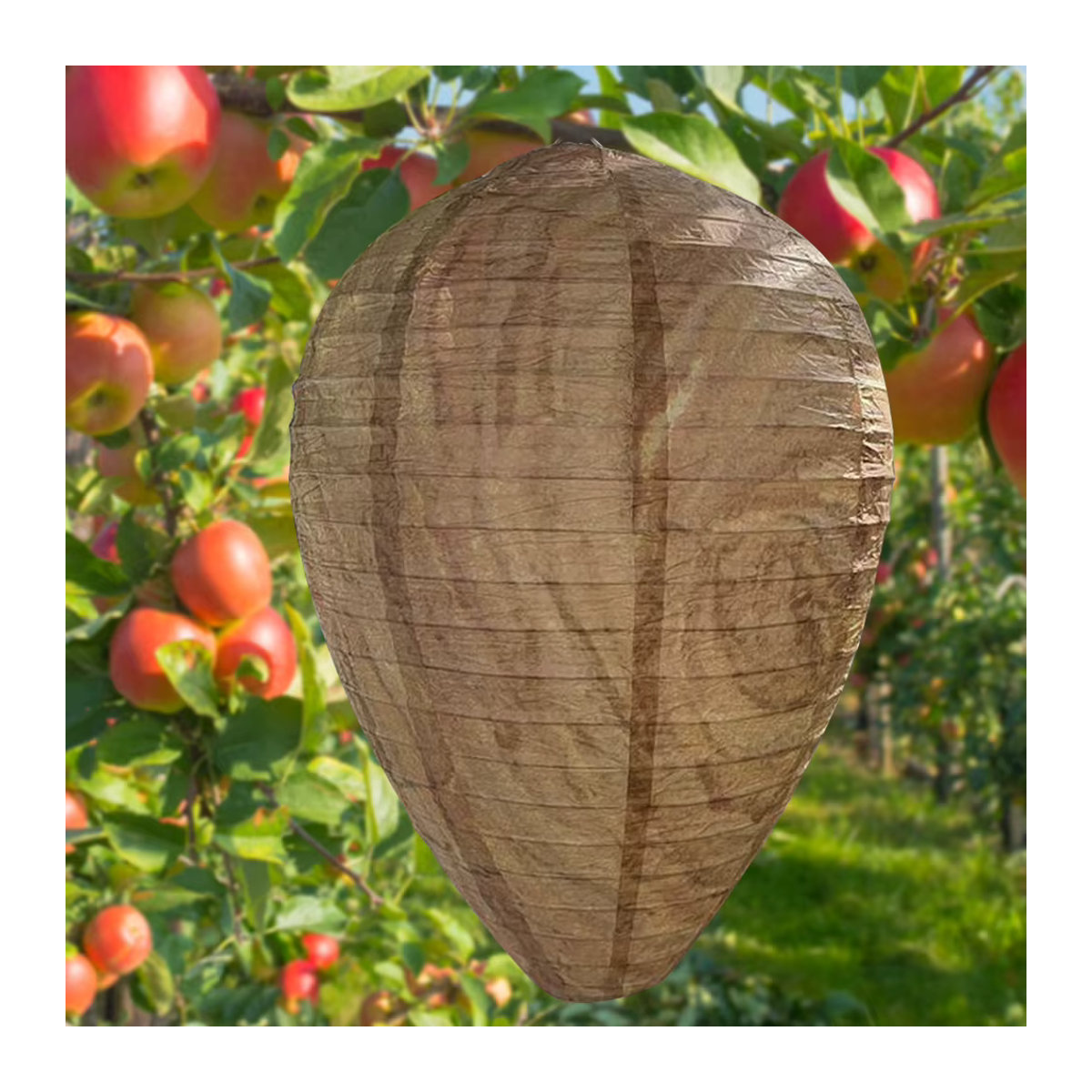 Wasserdichtes Locknest zur Wespen- und Bienenabwehr für den Garten, ungiftiger Köder als Abschreckung - Bild 2