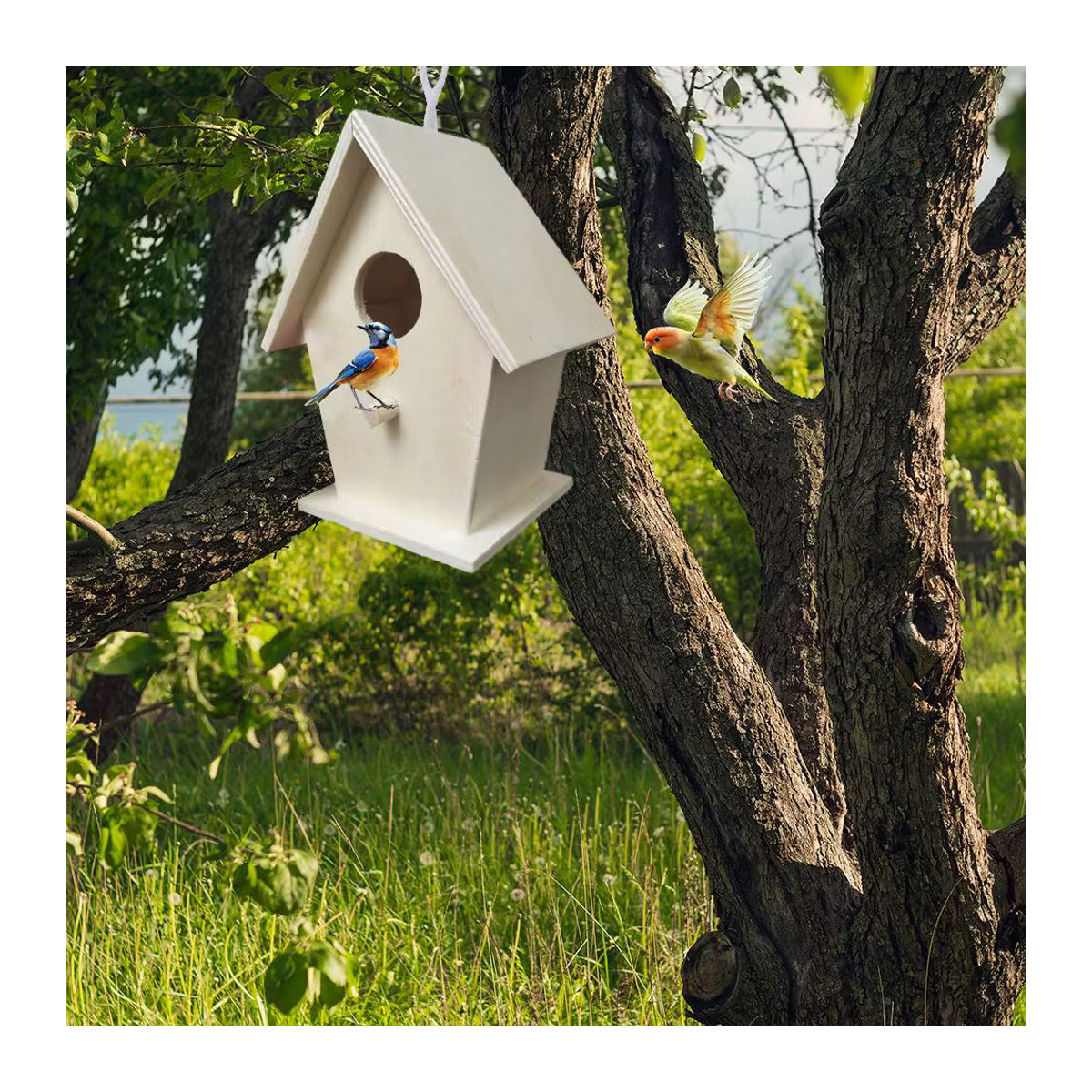 Weißes Mini Vogelhaus aus Holz zum Aufhängen für den Garten und Außenbereich - Bild 5