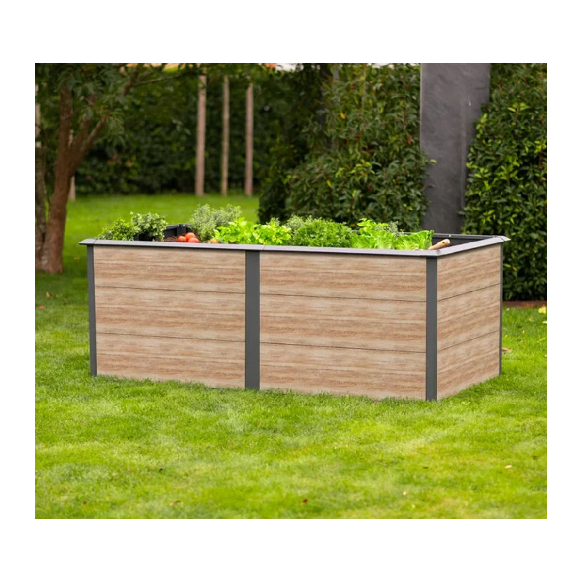 Westmann Hochbeet Primus-Multi XL aus Metall in Anthrazit B/T/H: 200 x 100 x 77 cm - Bild 1