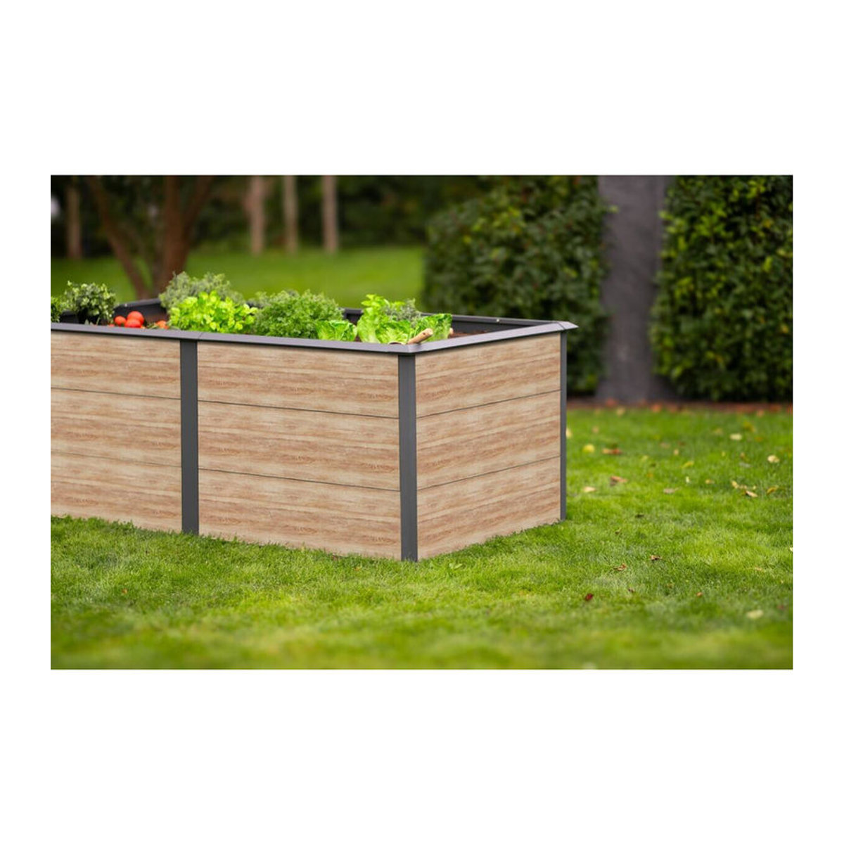 Westmann Hochbeet Primus-Multi XL aus Metall in Anthrazit B/T/H: 200 x 100 x 77 cm - Bild 5