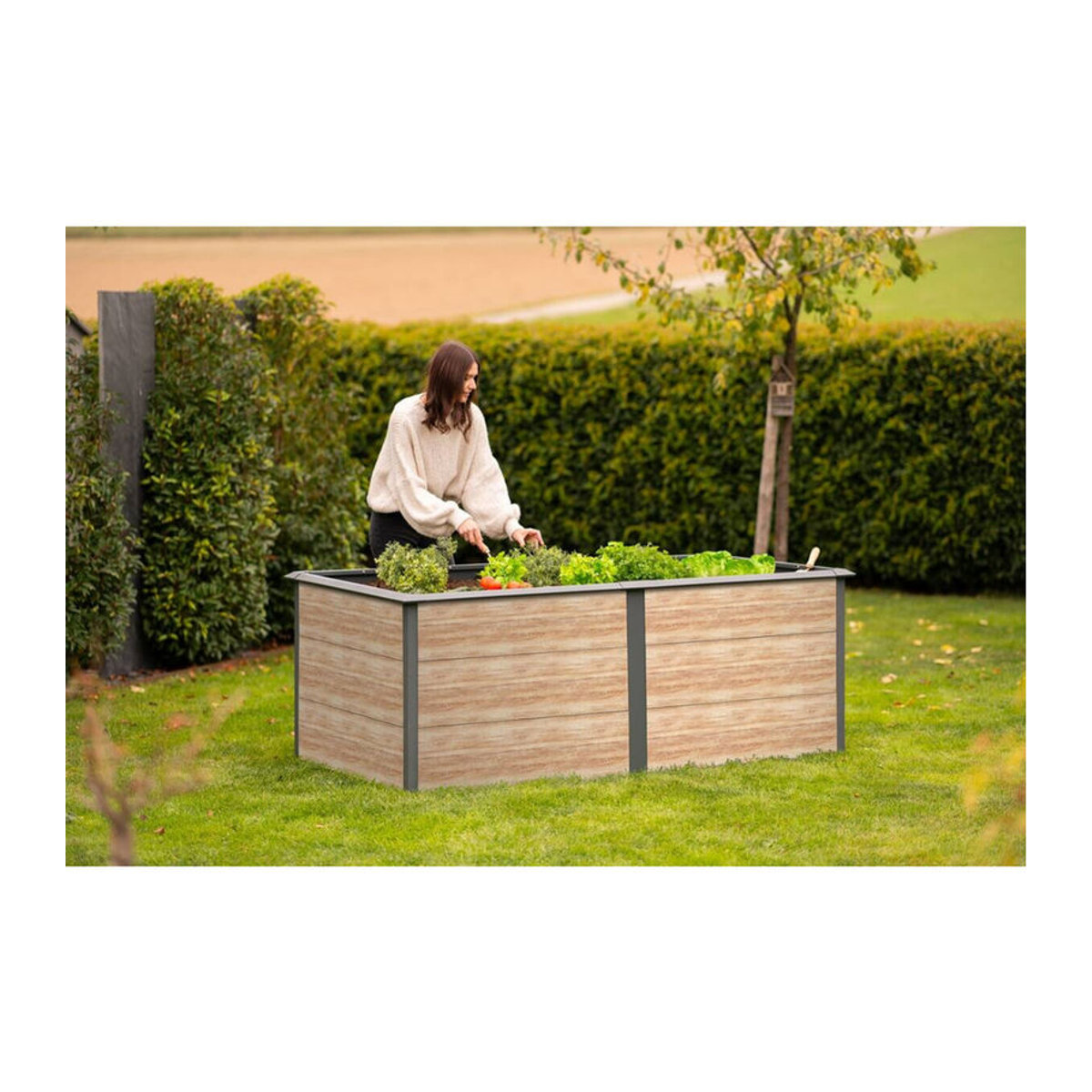 Westmann Hochbeet Primus-Multi XL aus Metall in Anthrazit B/T/H: 200 x 100 x 77 cm - Bild 6
