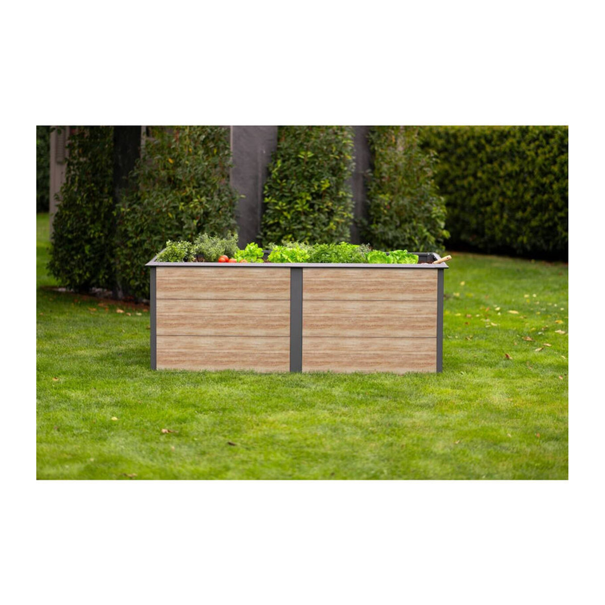 Westmann Hochbeet Primus-Multi XL aus Metall in Anthrazit B/T/H: 200 x 100 x 77 cm - Bild 7