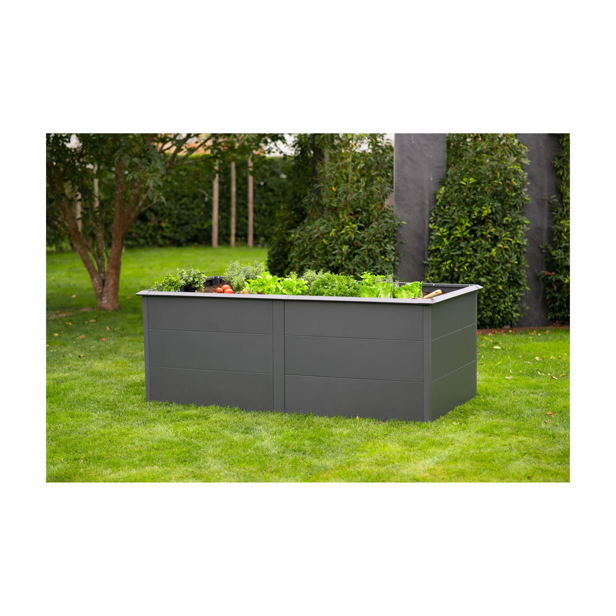 Westmann Hochbeet Primus XL aus Metall in Anthrazit B/H/T: 200 x 77 x 100 cm - Bild 3