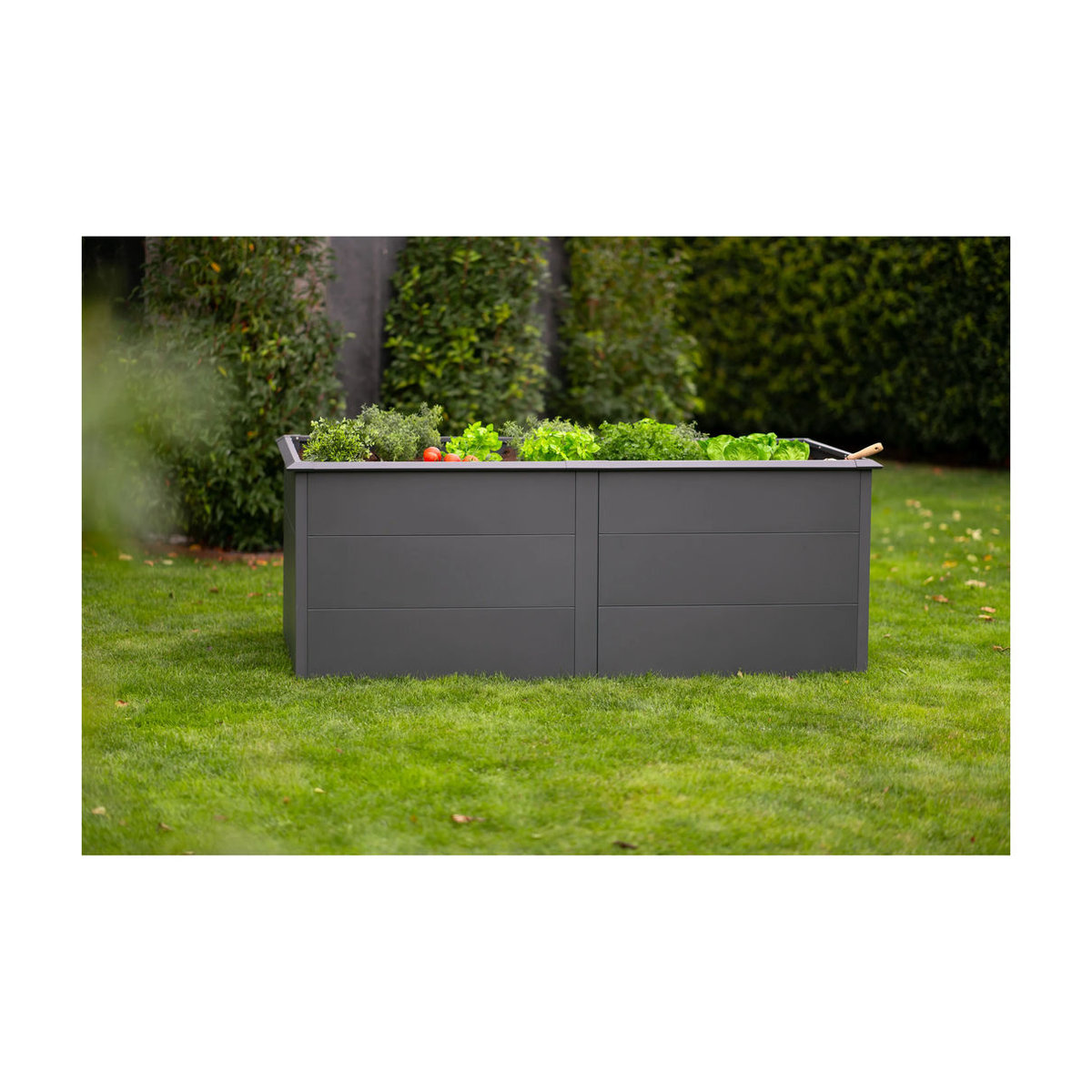 Westmann Hochbeet Primus XL aus Metall in Anthrazit B/H/T: 200 x 77 x 100 cm - Bild 4