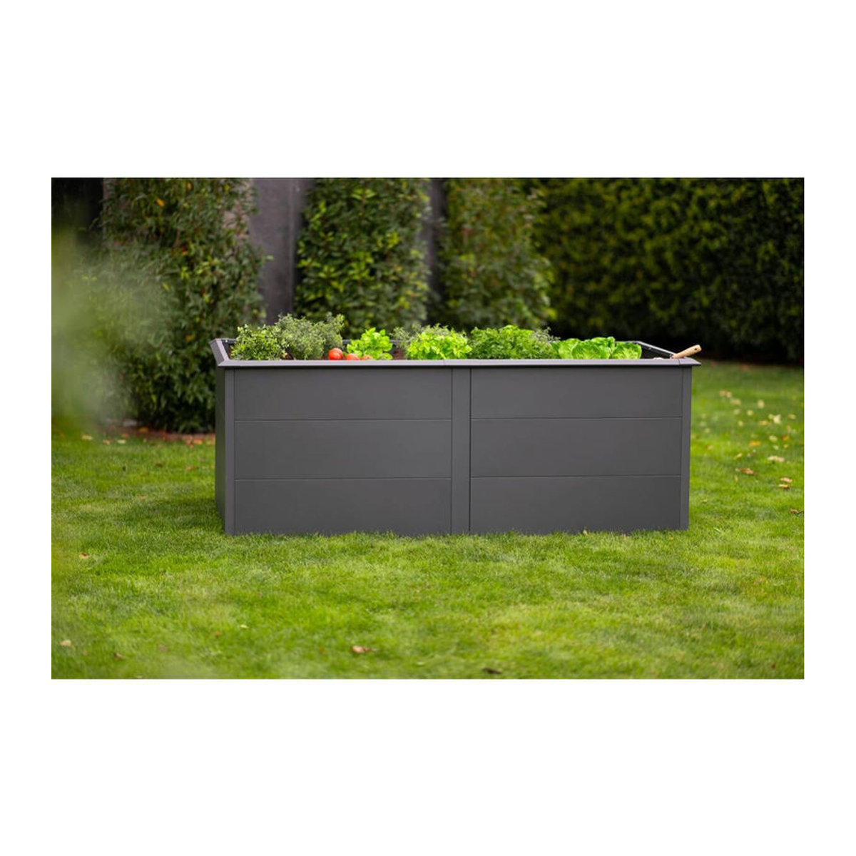 Westmann Hochbeet Primus XL aus Metall in Anthrazit B/H/T: 200 x 77 x 100 cm - Bild 6