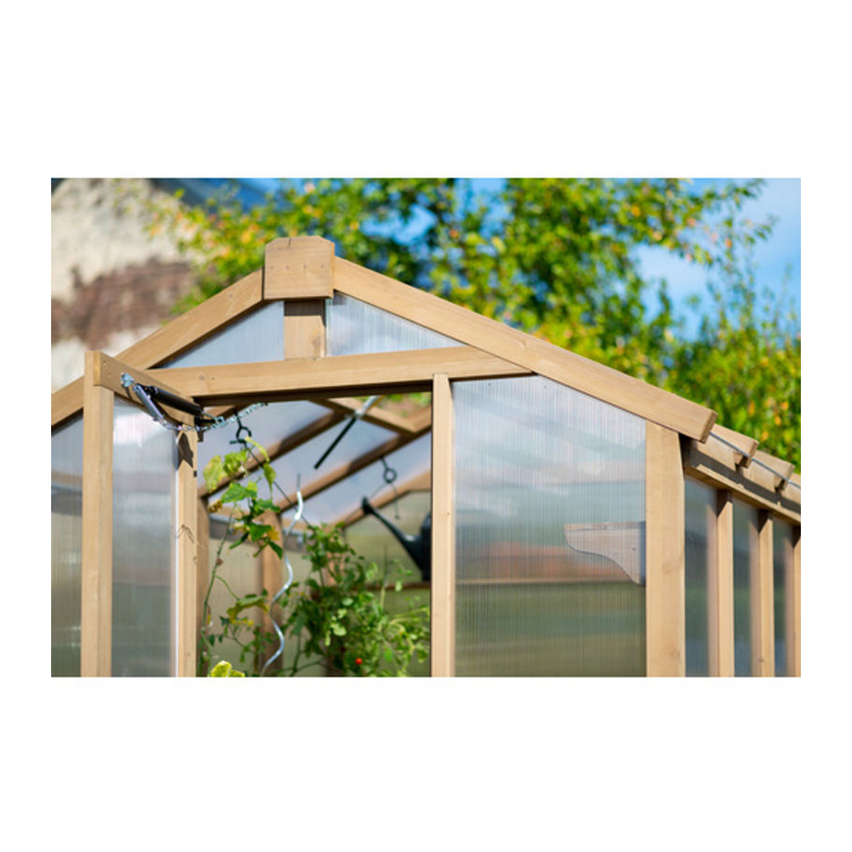 Westmann Holz Gewächshaus Paul aus Zedernholz mit Polycarbonat in Natur Braun B/T/H: 204 x 238 x 239 cm - Bild 7