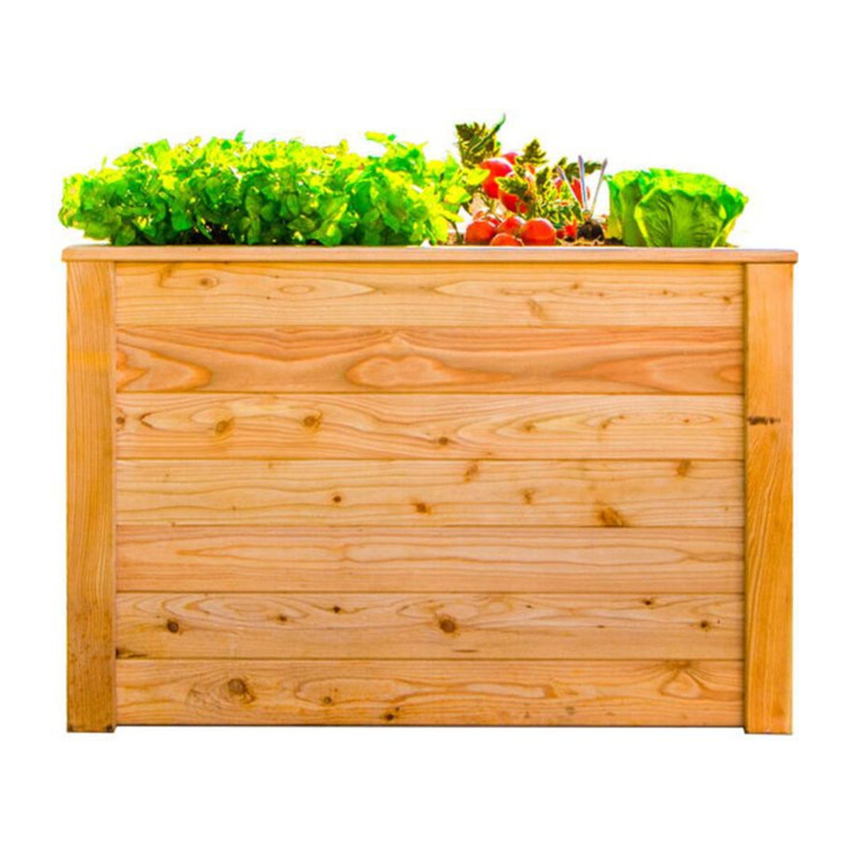 Westmann Holz Hochbeet Kräuterbeet Lärche 100 Natur B/T/H: 65 x 100 x 66 cm - Bild 2