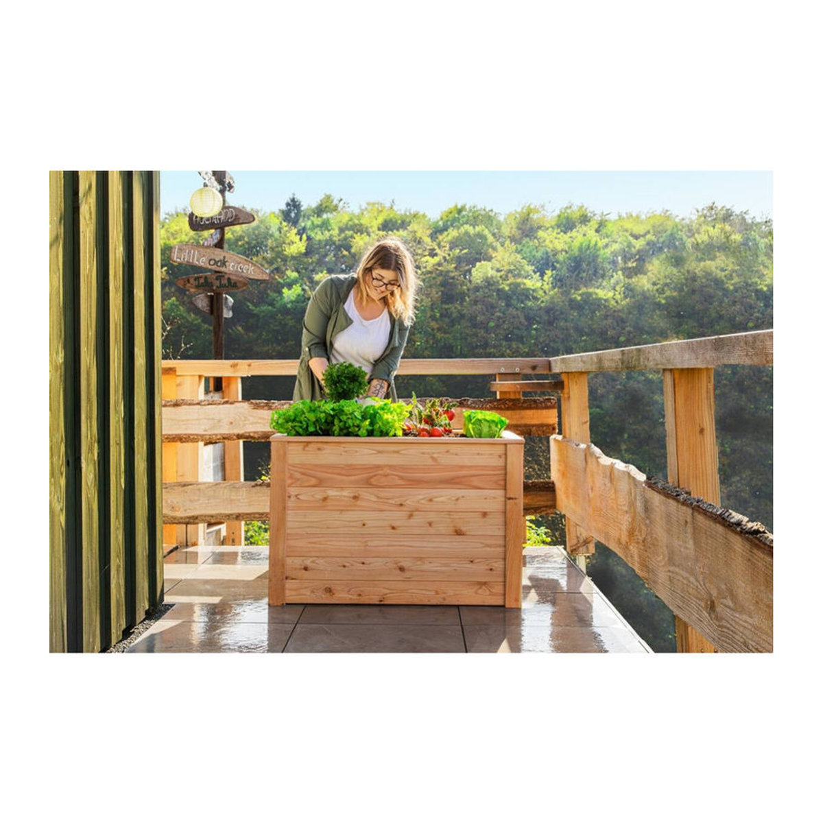 Westmann Holz Hochbeet Kräuterbeet Lärche 100 Natur B/T/H: 65 x 100 x 66 cm - Bild 5