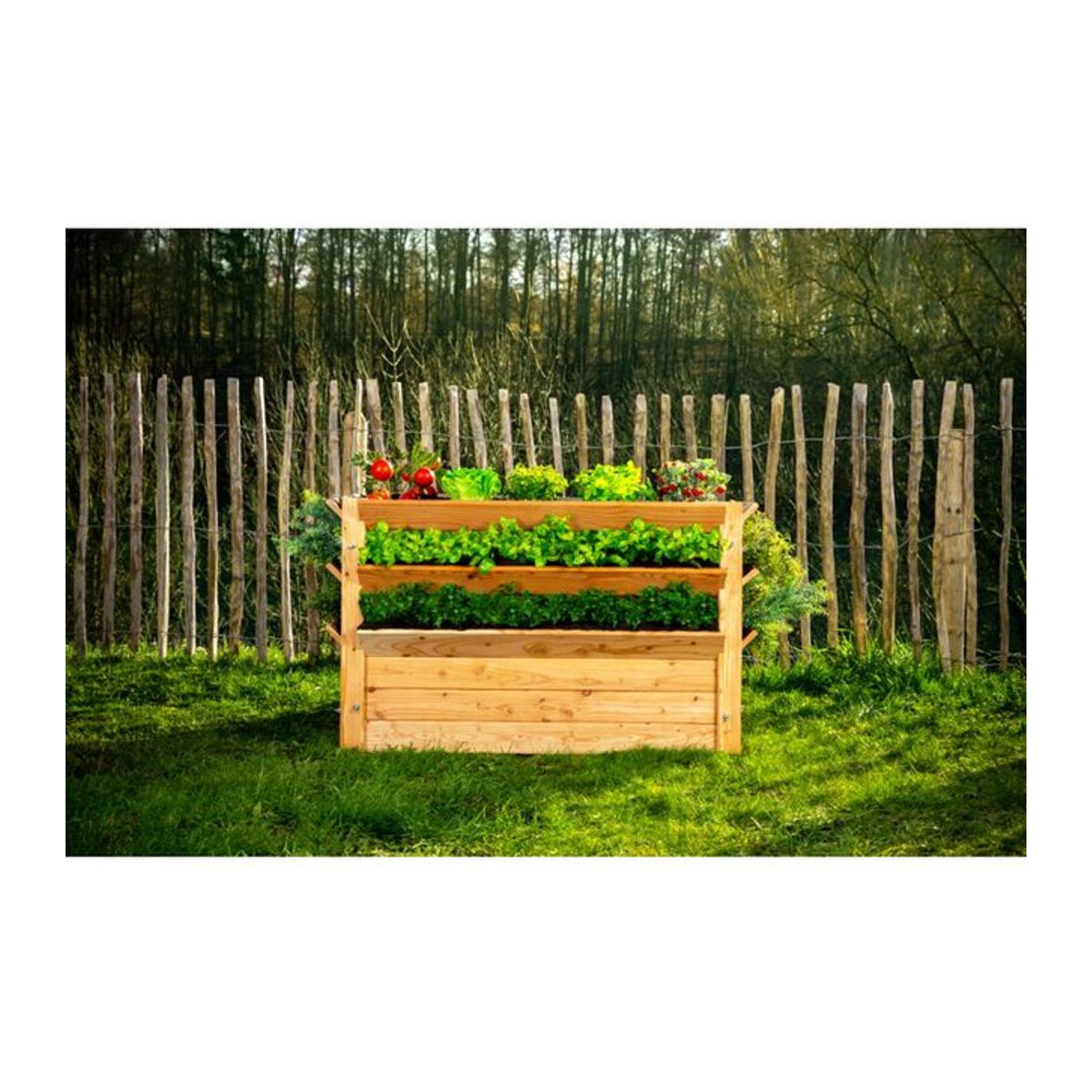 Westmann Premium Holz Hochbeet XXL in Natur, L: 124 cm, B: 91 cm, H: 73 cm - Bild 1