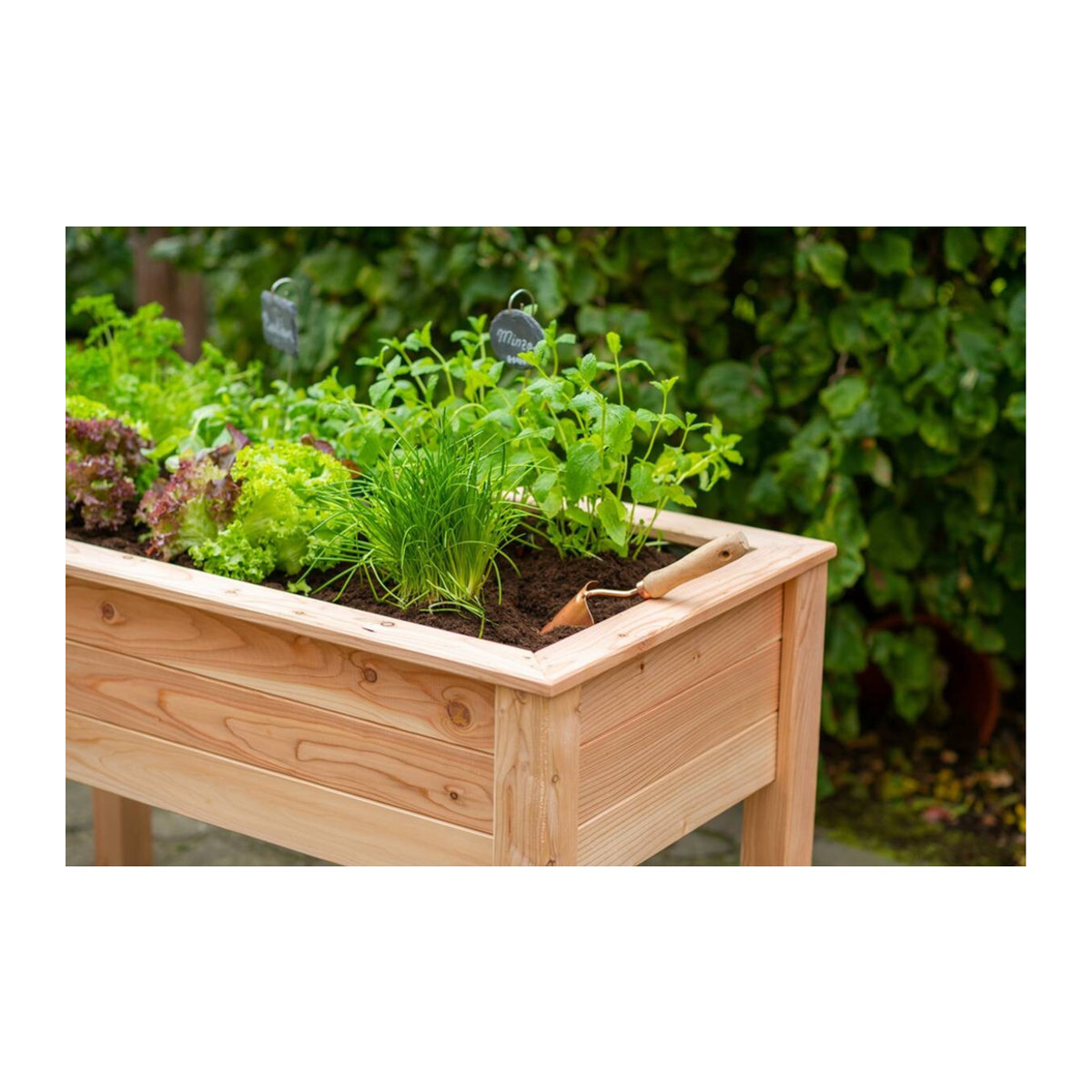 Westmann Stelzenhochbeet Emily aus Lärchenholz in Natur, B: 120 cm, T: 65 cm, H: 75 cm - Bild 6