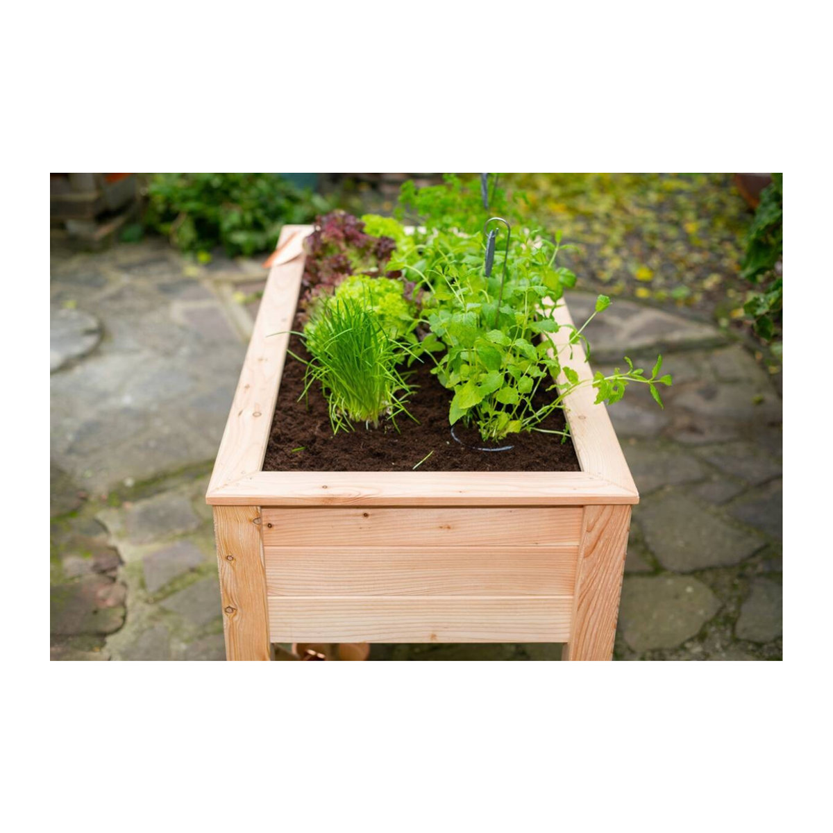 Westmann Stelzenhochbeet Emily aus Lärchenholz in Natur, B: 120 cm, T: 65 cm, H: 75 cm - Bild 7