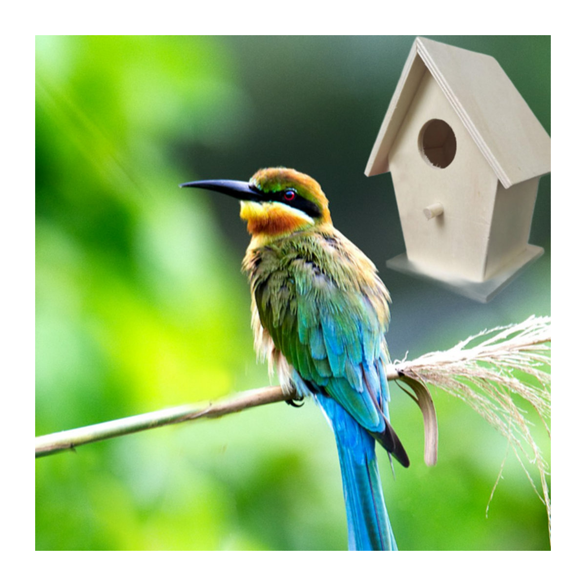 Wetterfestes Vogelhaus aus Holz von KITPIPI in Natur für die Wandmontage mit Sitzstangen - Bild 1