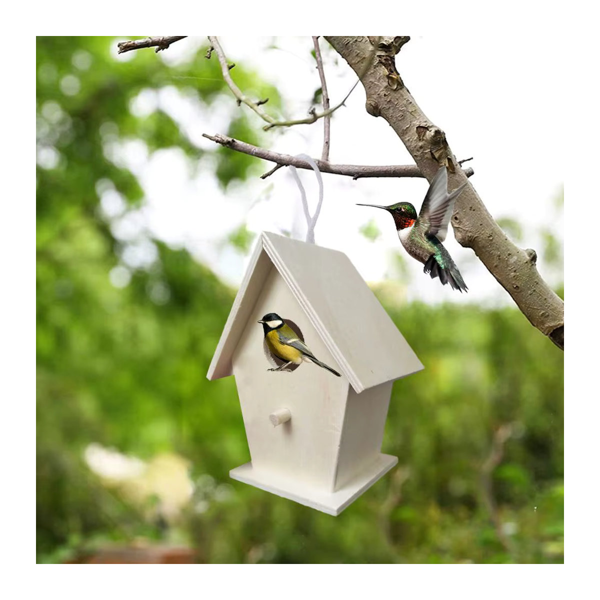 Wetterfestes Vogelhaus aus Holz von KITPIPI in Natur für die Wandmontage mit Sitzstangen - Bild 2