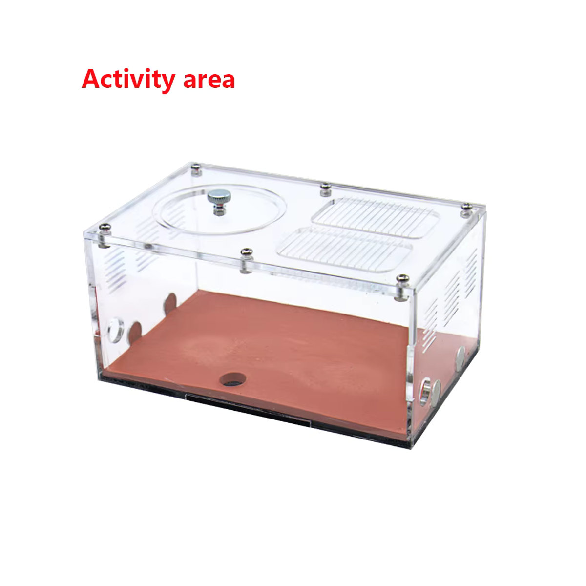 WFGOGO Ameisenfarm aus Acryl und Beton mit Temperaturkontrolle, transparentes Insektenhaus für Ameisenkolonien mit Erweiterungsmöglichkeit - Bild 6