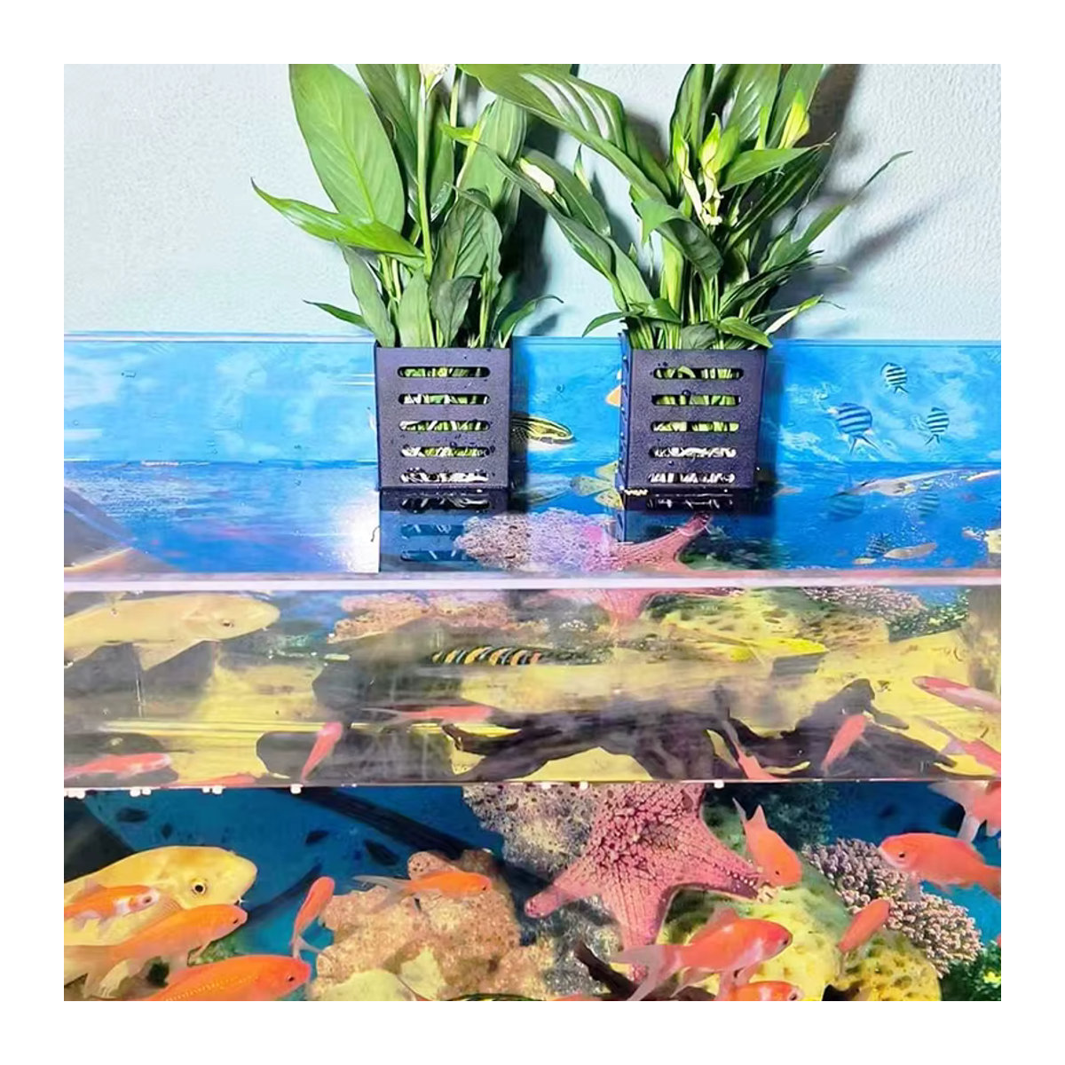 WHPHous Hängender Aquarium-Pflanzenhalter aus Kunststoff, Quadratischer Wasserpflanzentopf in Schwarz für Aquascape-Dekorationen - Bild 4