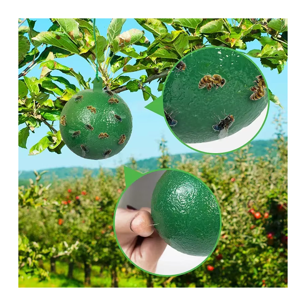 Wiederverwendbare Fliegenfalle als Hängekugel zur Schädlingsbekämpfung für Garten und Obstbäume - Bild 3